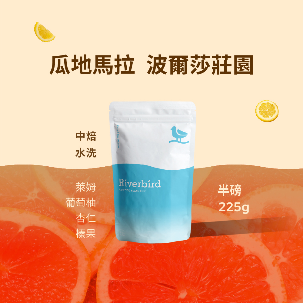 【Riverbird】《225g》瓜地馬拉 波爾莎莊園 中焙/水洗