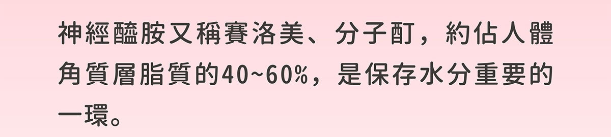 日本NIPPI膠原蛋白-不上妝的好氣色-嚴萃保健-36