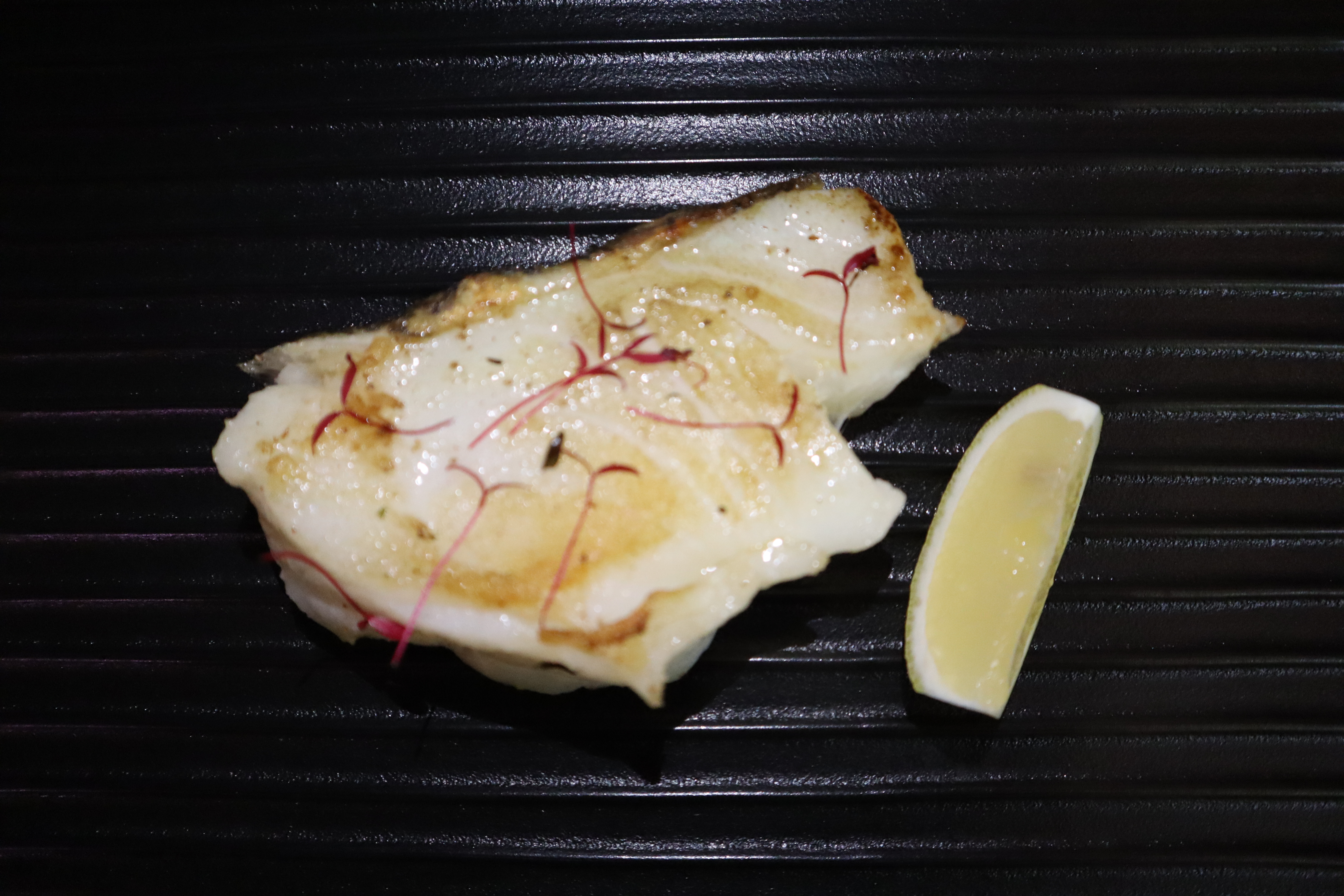 福克蘭群島野生犬牙南極魚柳 - 230-250g