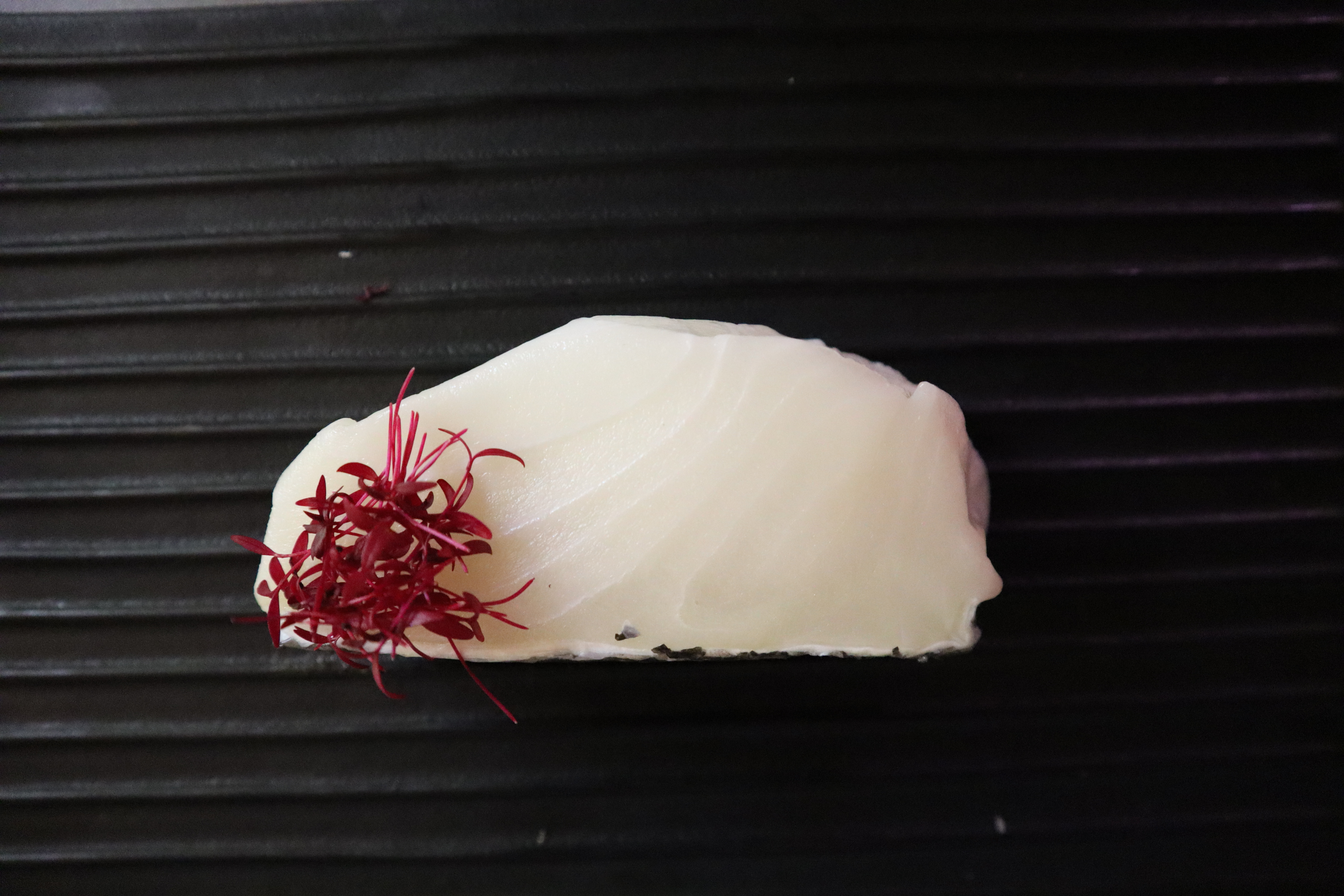 福克蘭群島野生犬牙南極魚柳 - 230-250g