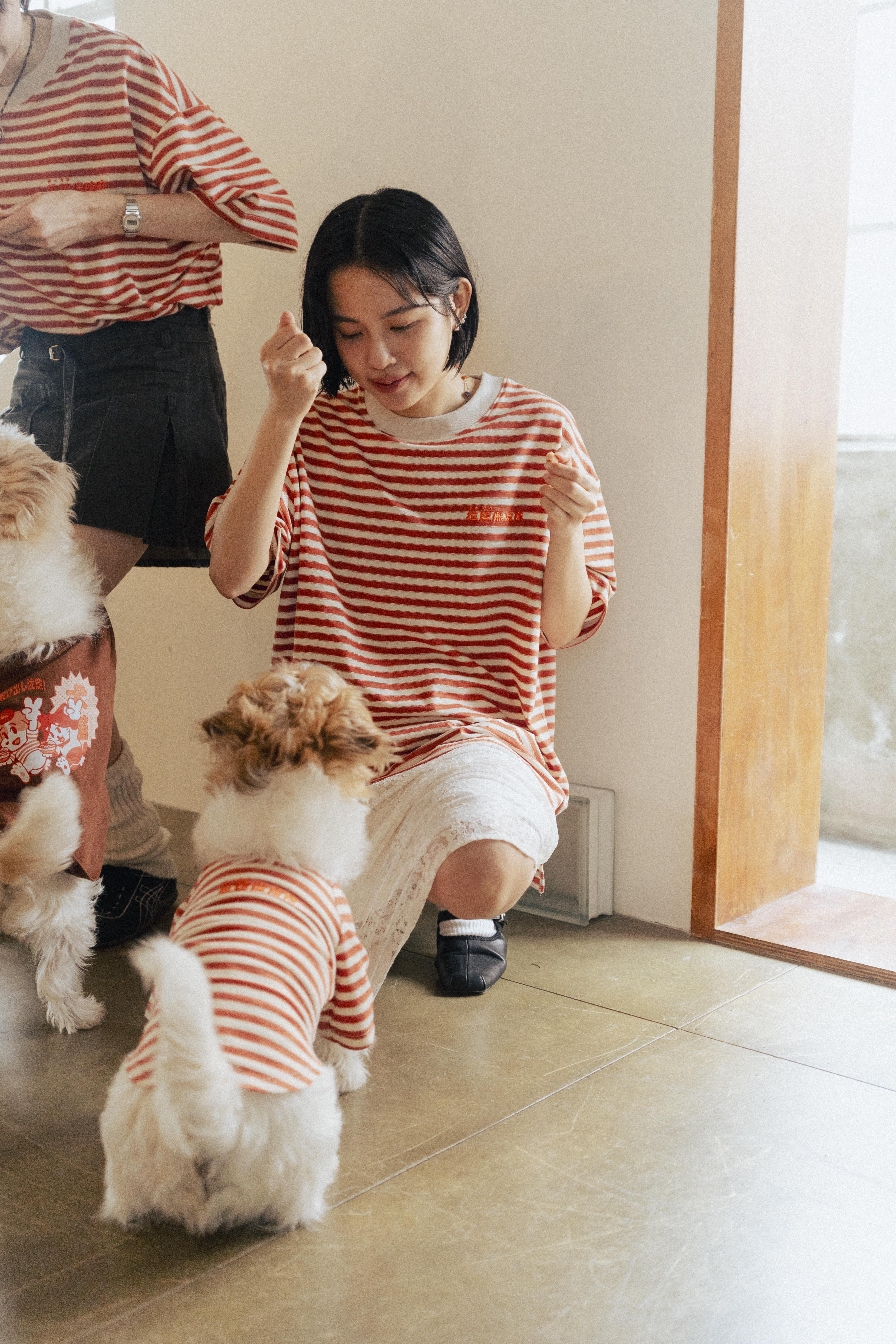 拉麵探險隊 刺繡 LOGO 條紋 寬版 短T (橘)