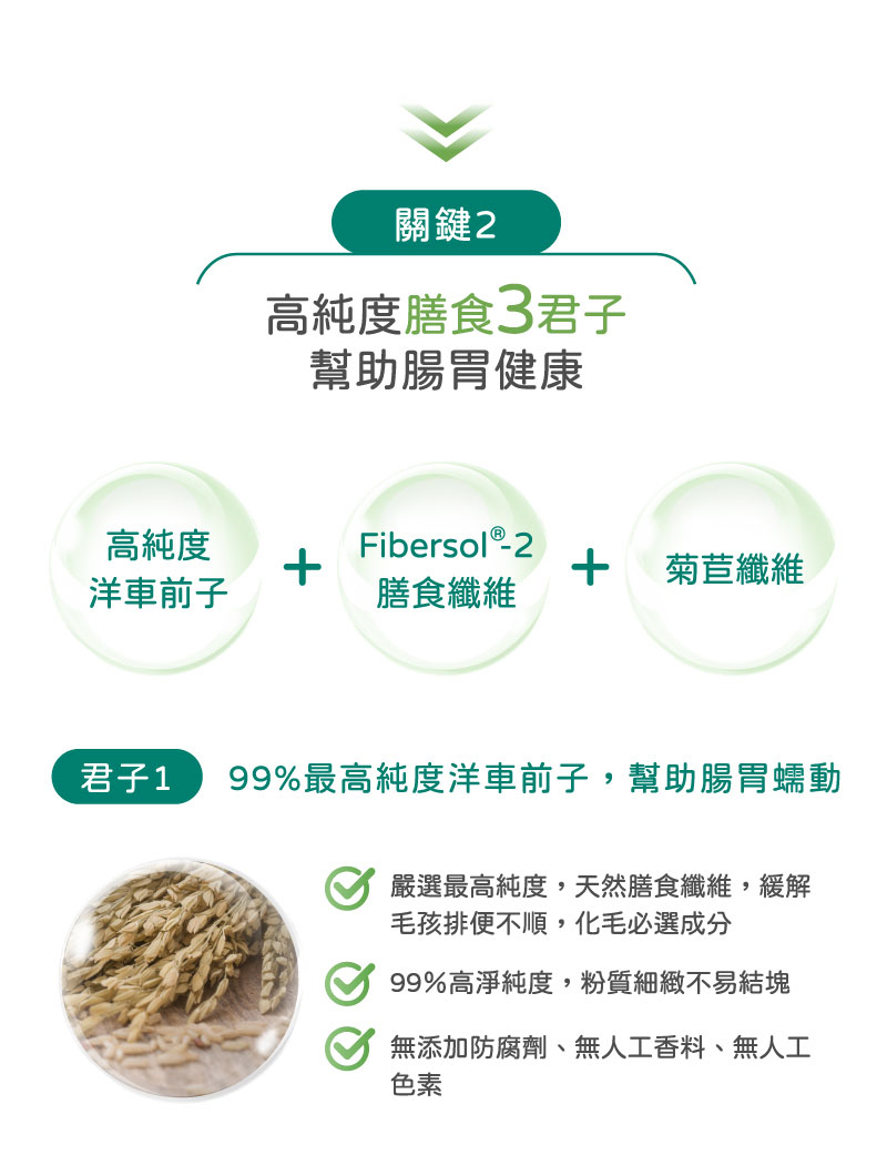日本專利膳食纖維幫助腸胃菌相生態