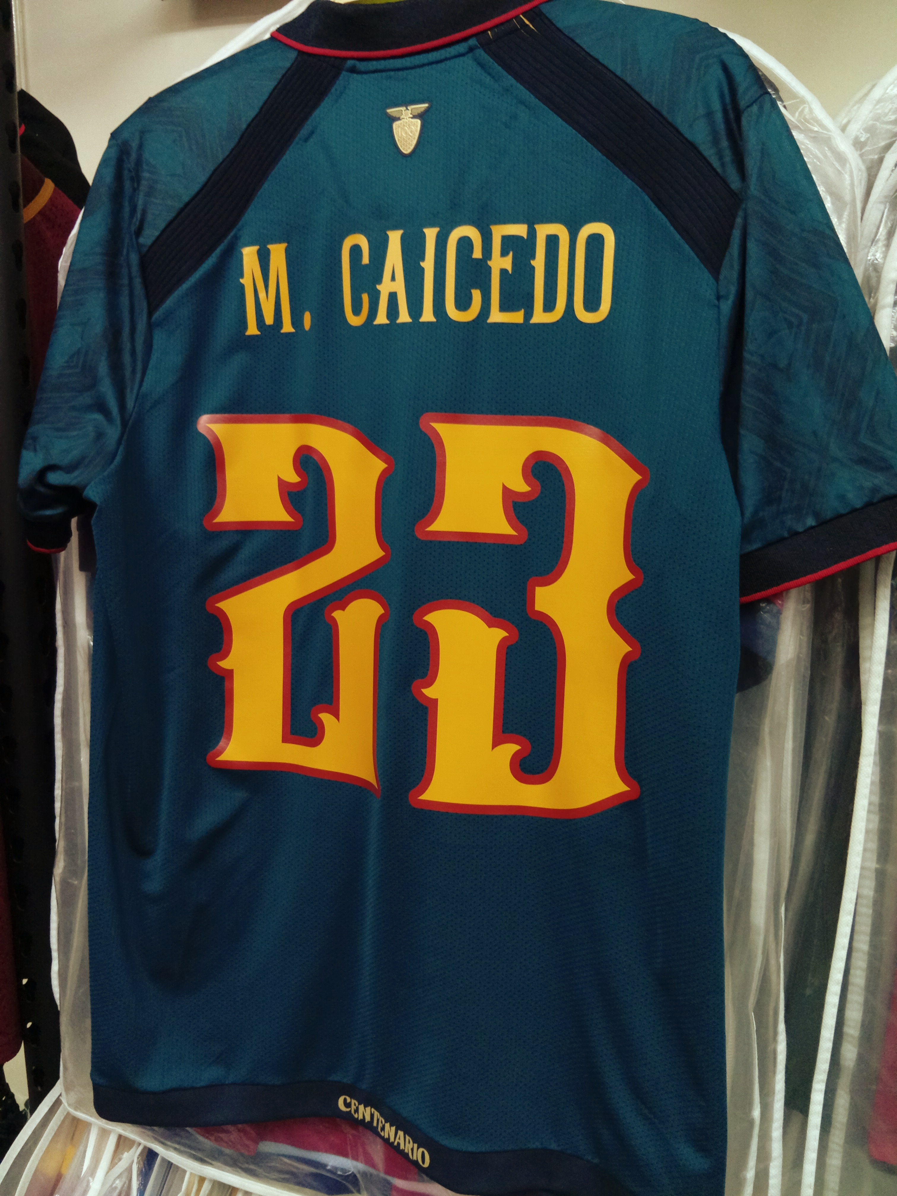 [預訂]2025厄瓜多爾國家隊百周年特別版球衣