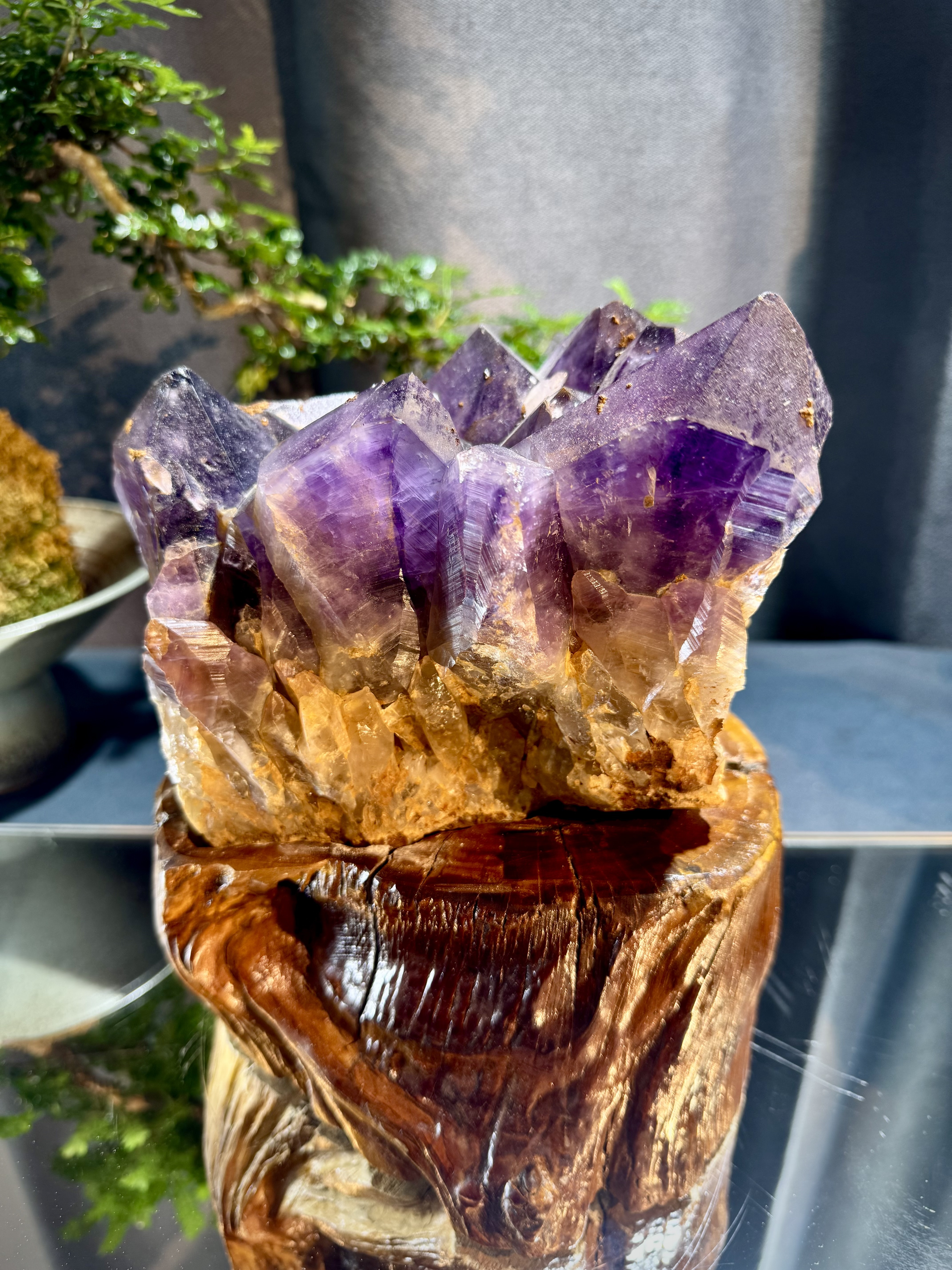 玻利維亞紫水晶骨幹原石 8703