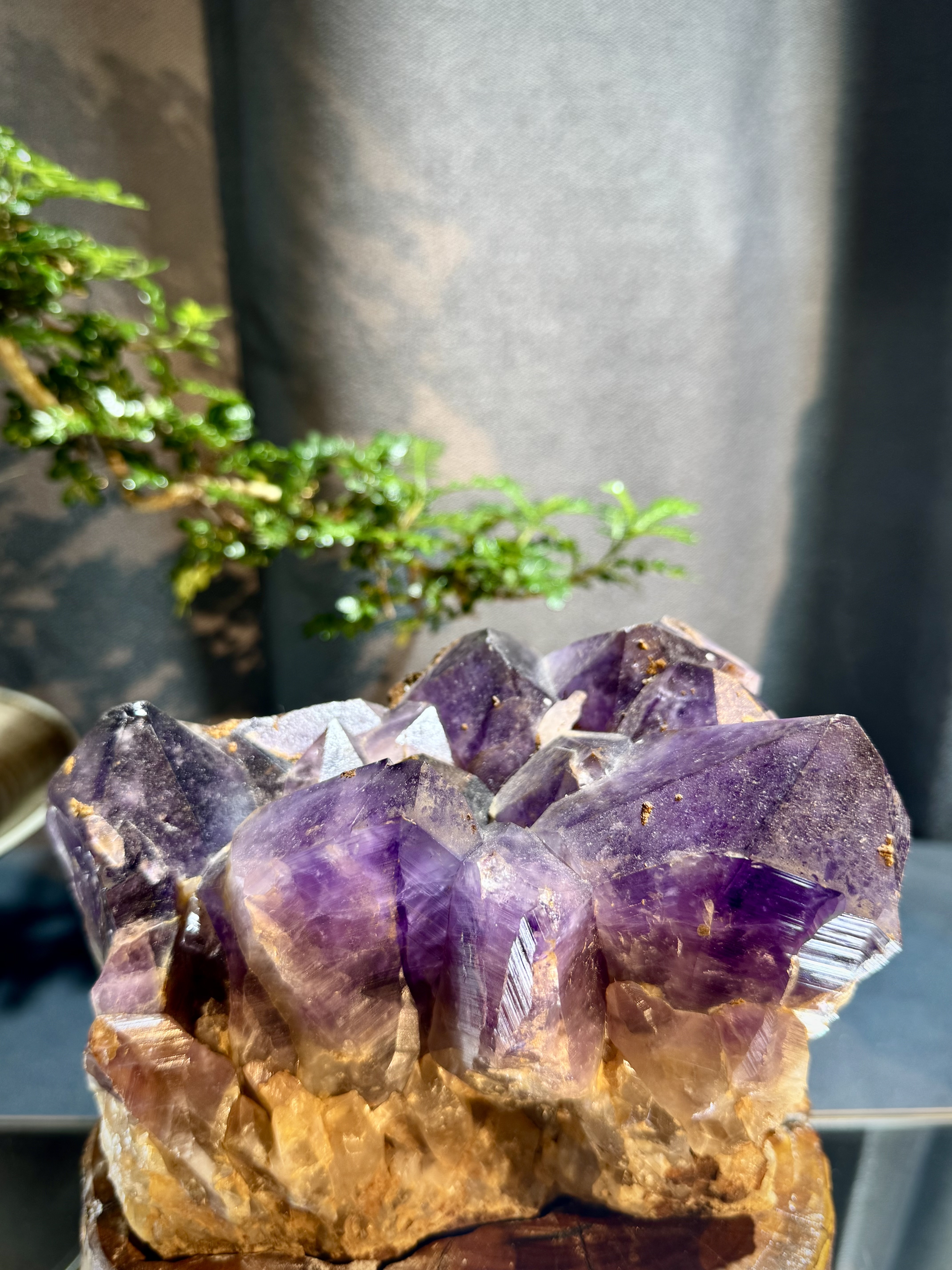 玻利維亞紫水晶骨幹原石 8703