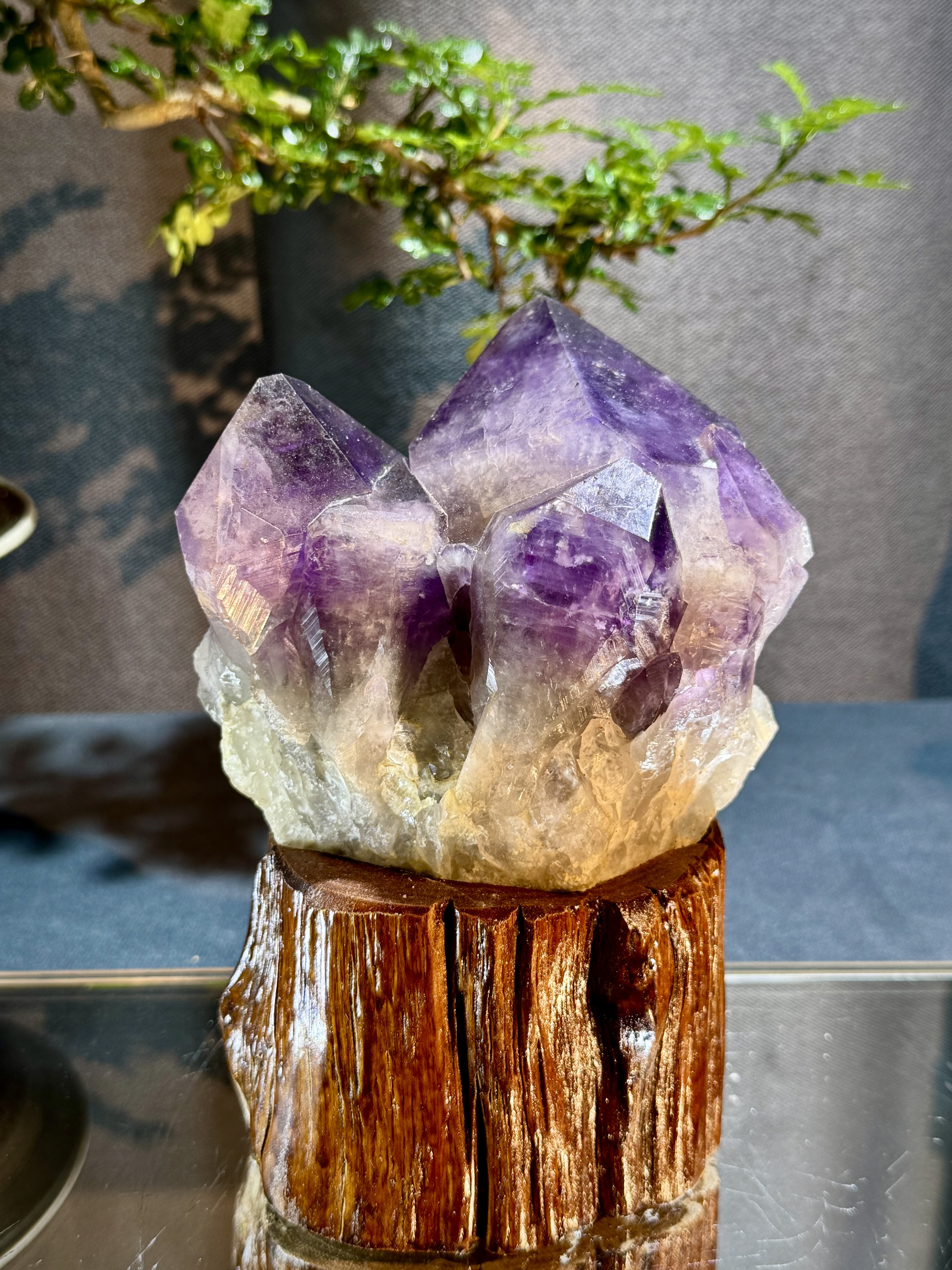 玻利維亞紫水晶骨幹原石 8704