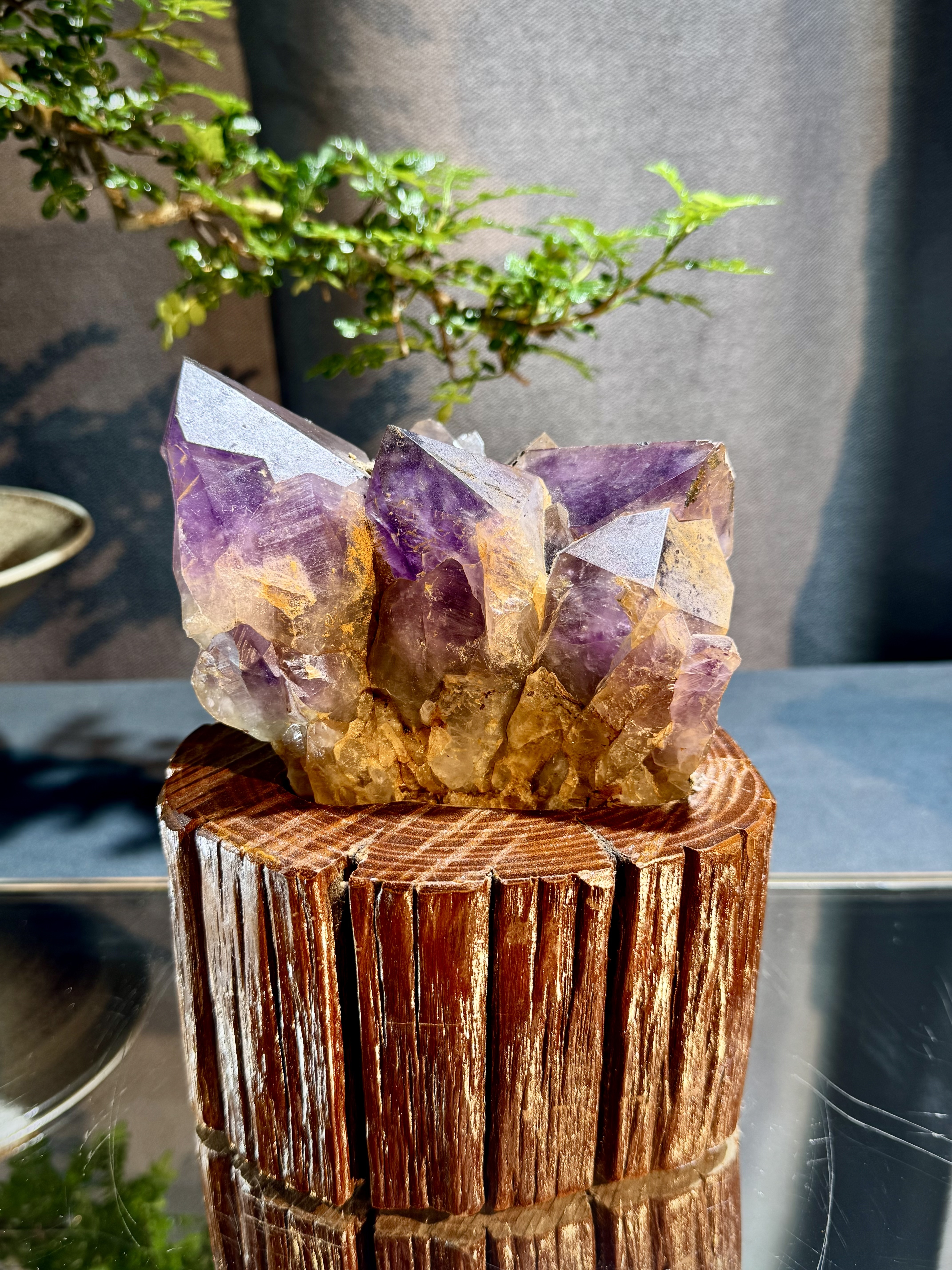 玻利維亞紫水晶骨幹原石 8705