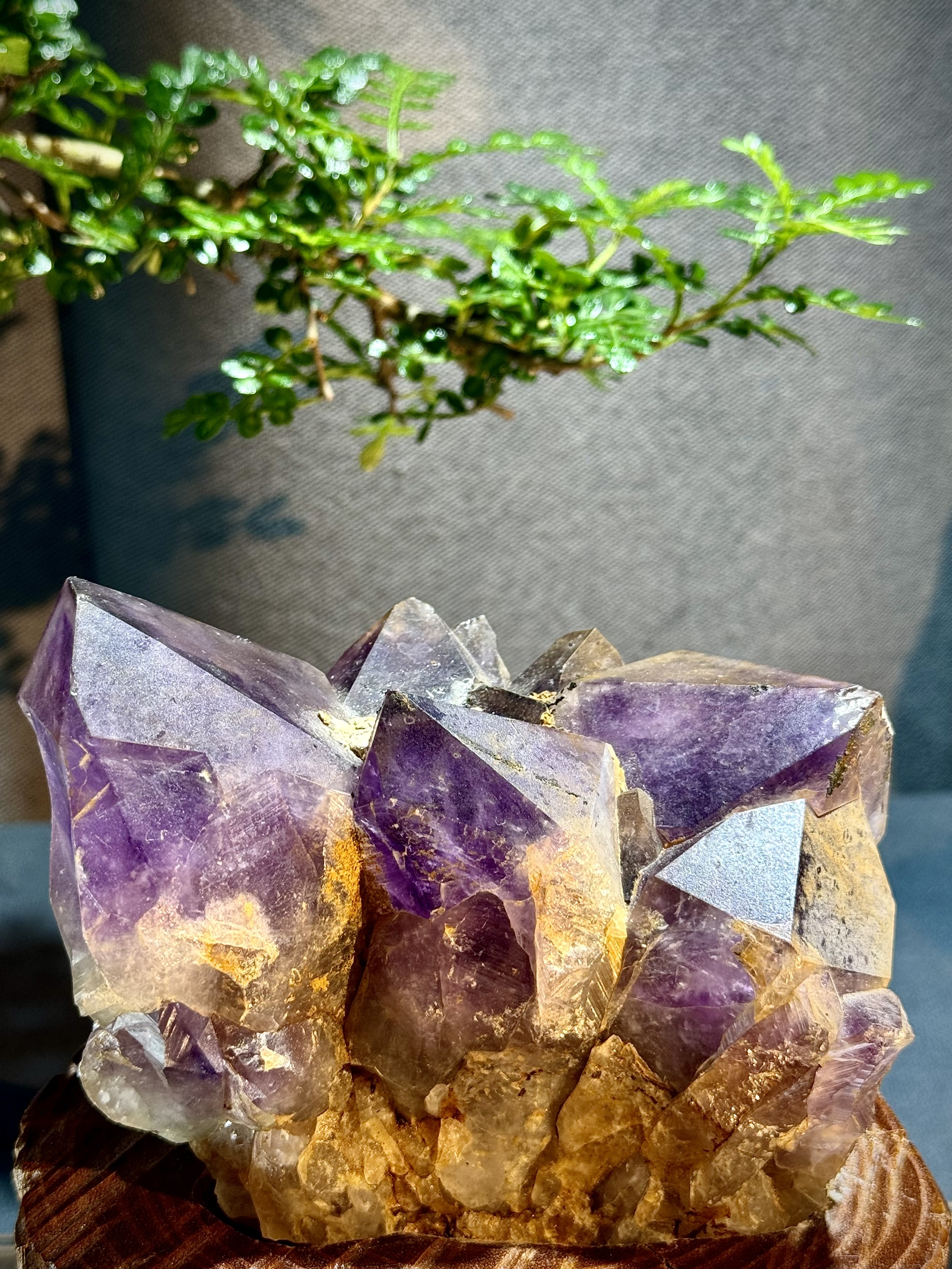 玻利維亞紫水晶骨幹原石 8705