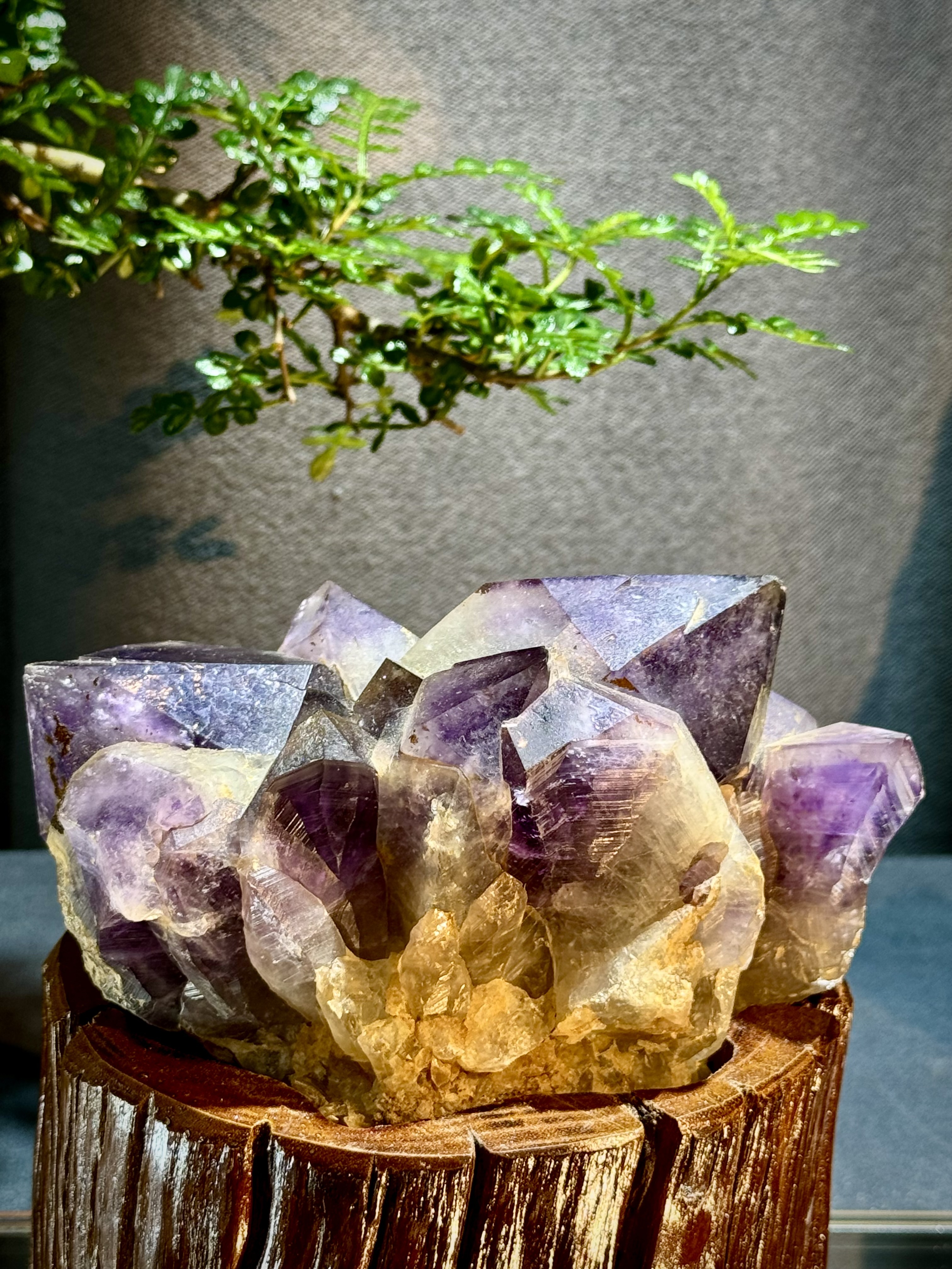 玻利維亞紫水晶骨幹原石 8707