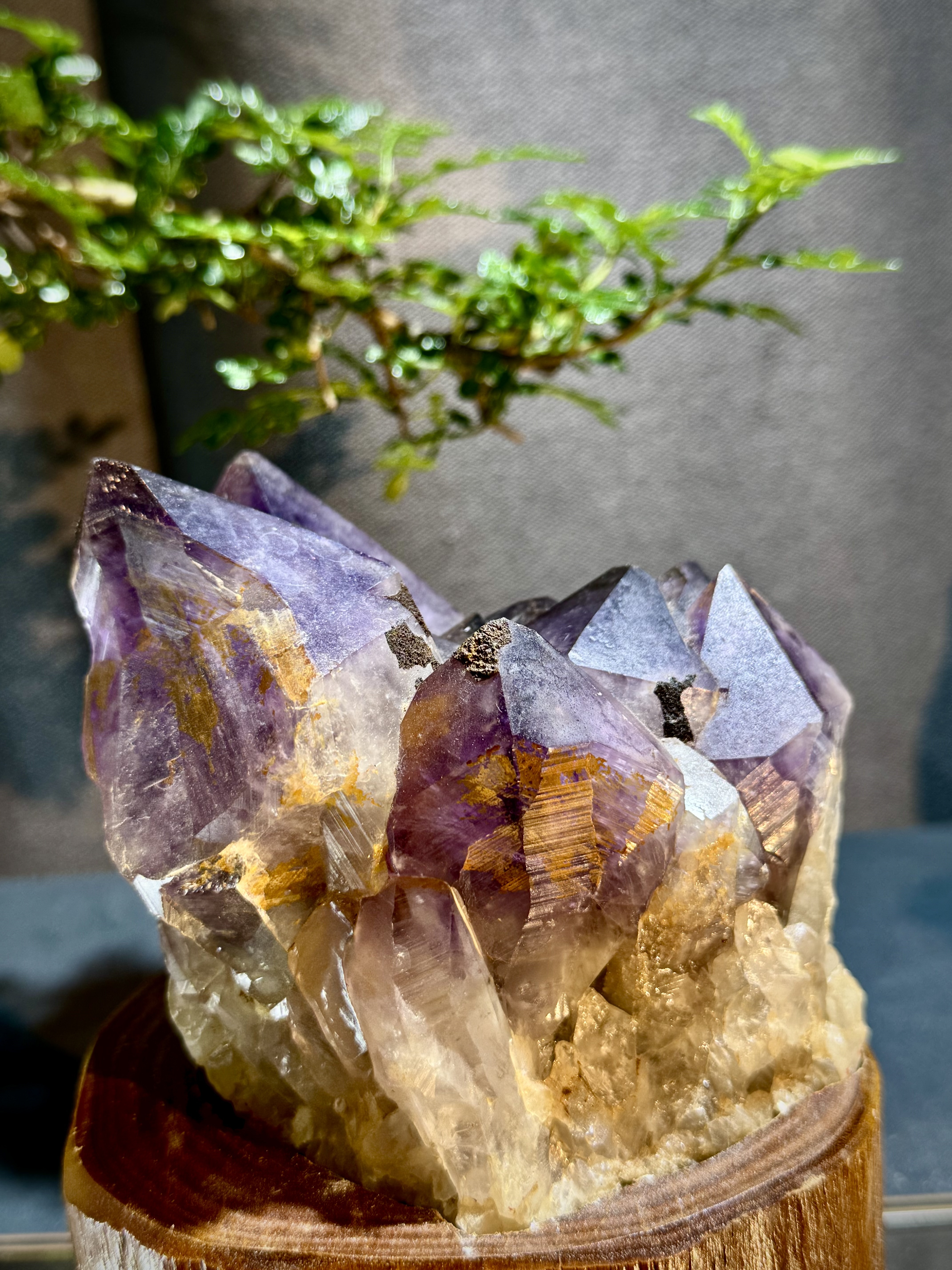 玻利維亞紫水晶骨幹原石 8708