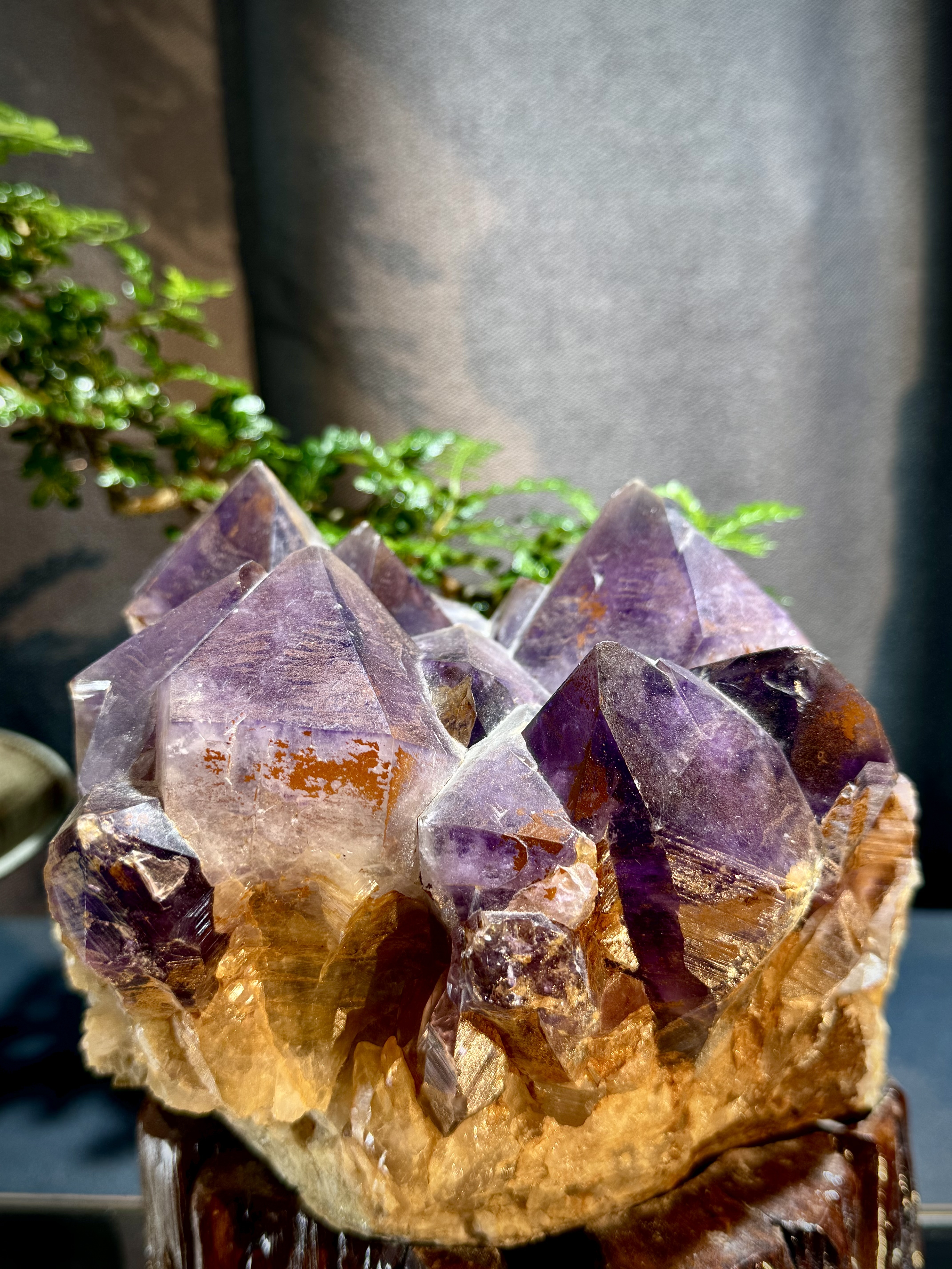 玻利維亞紫水晶骨幹原石 8710