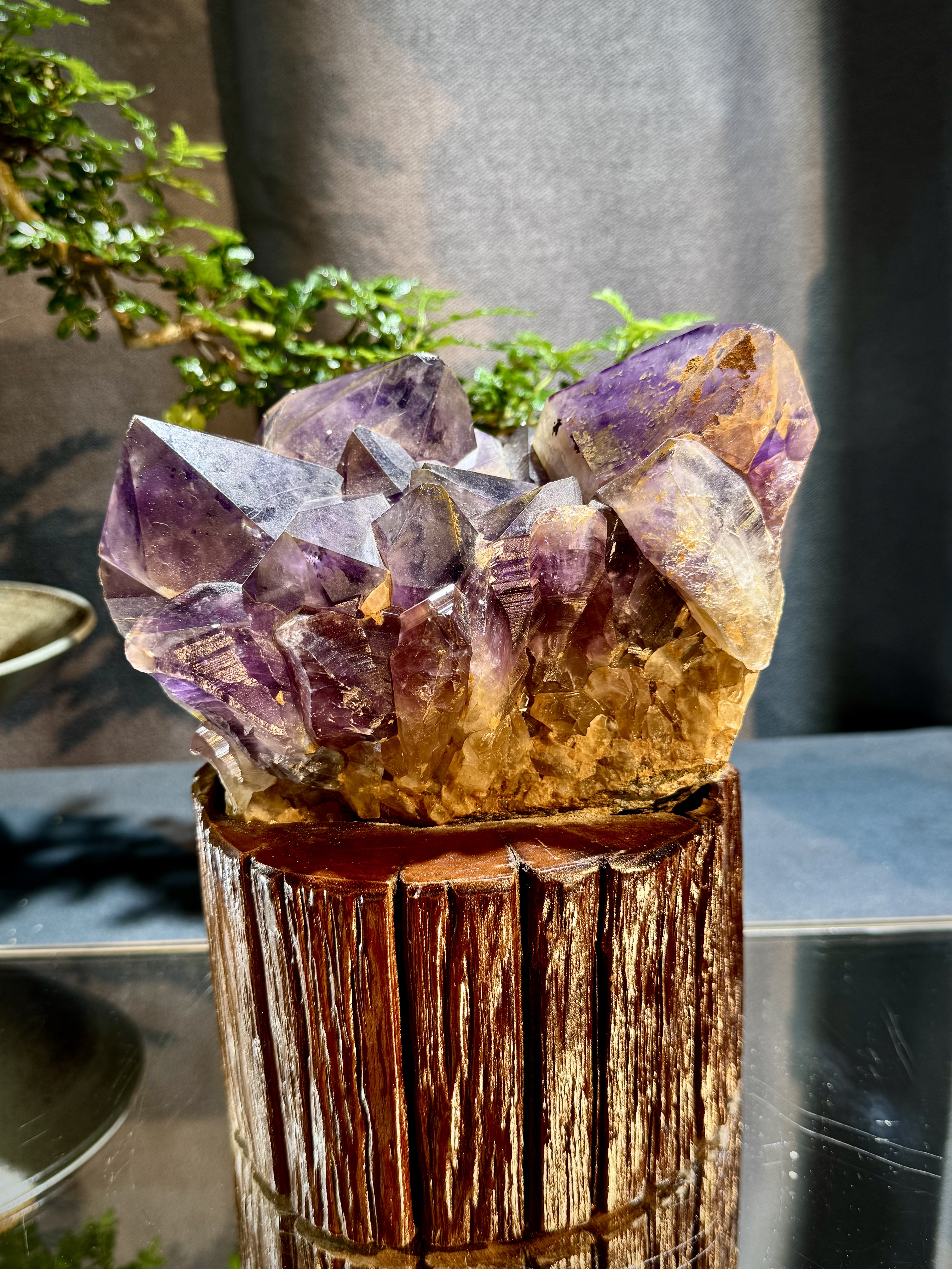 玻利維亞紫水晶骨幹原石 8711