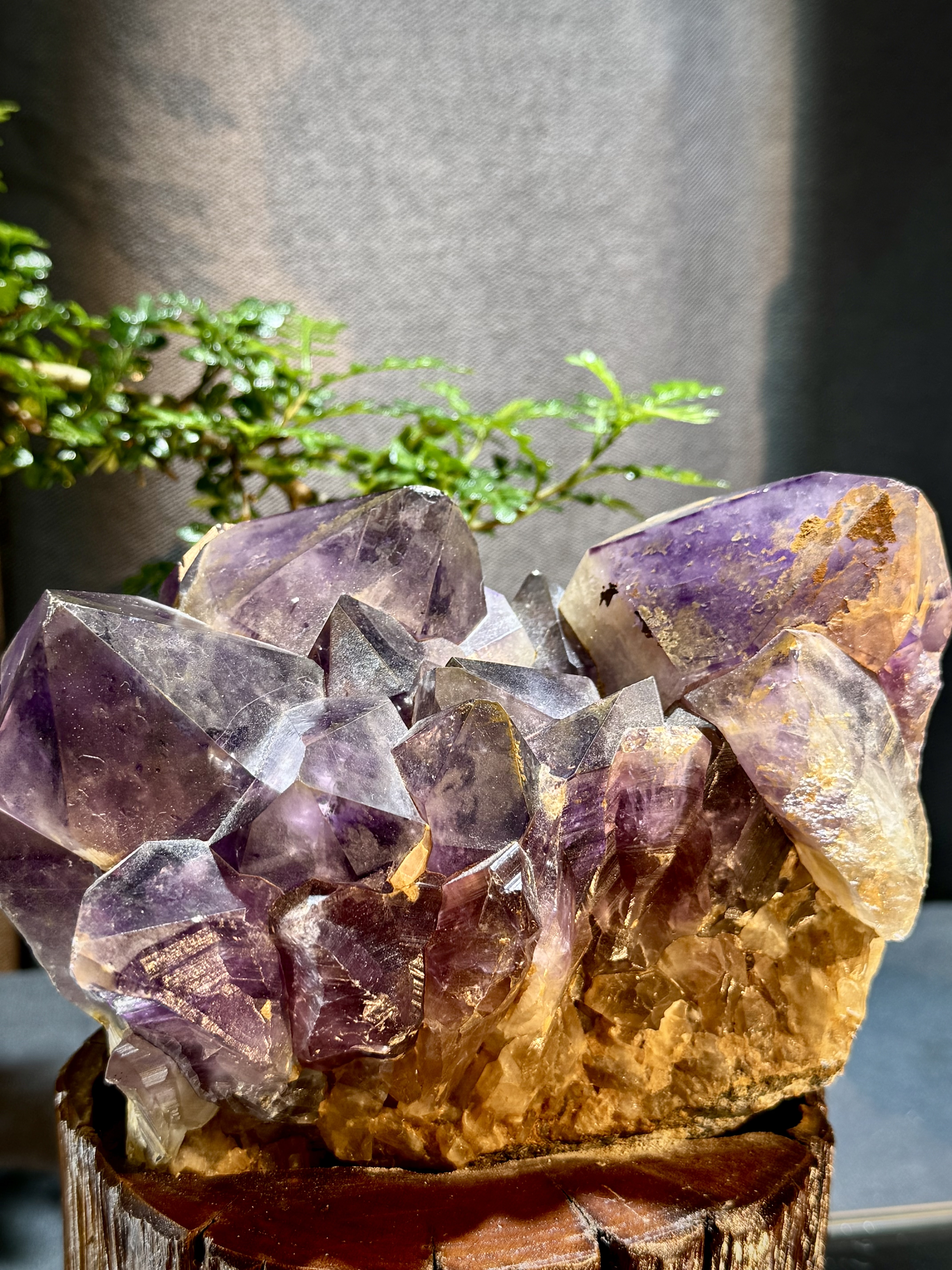 玻利維亞紫水晶骨幹原石 8711