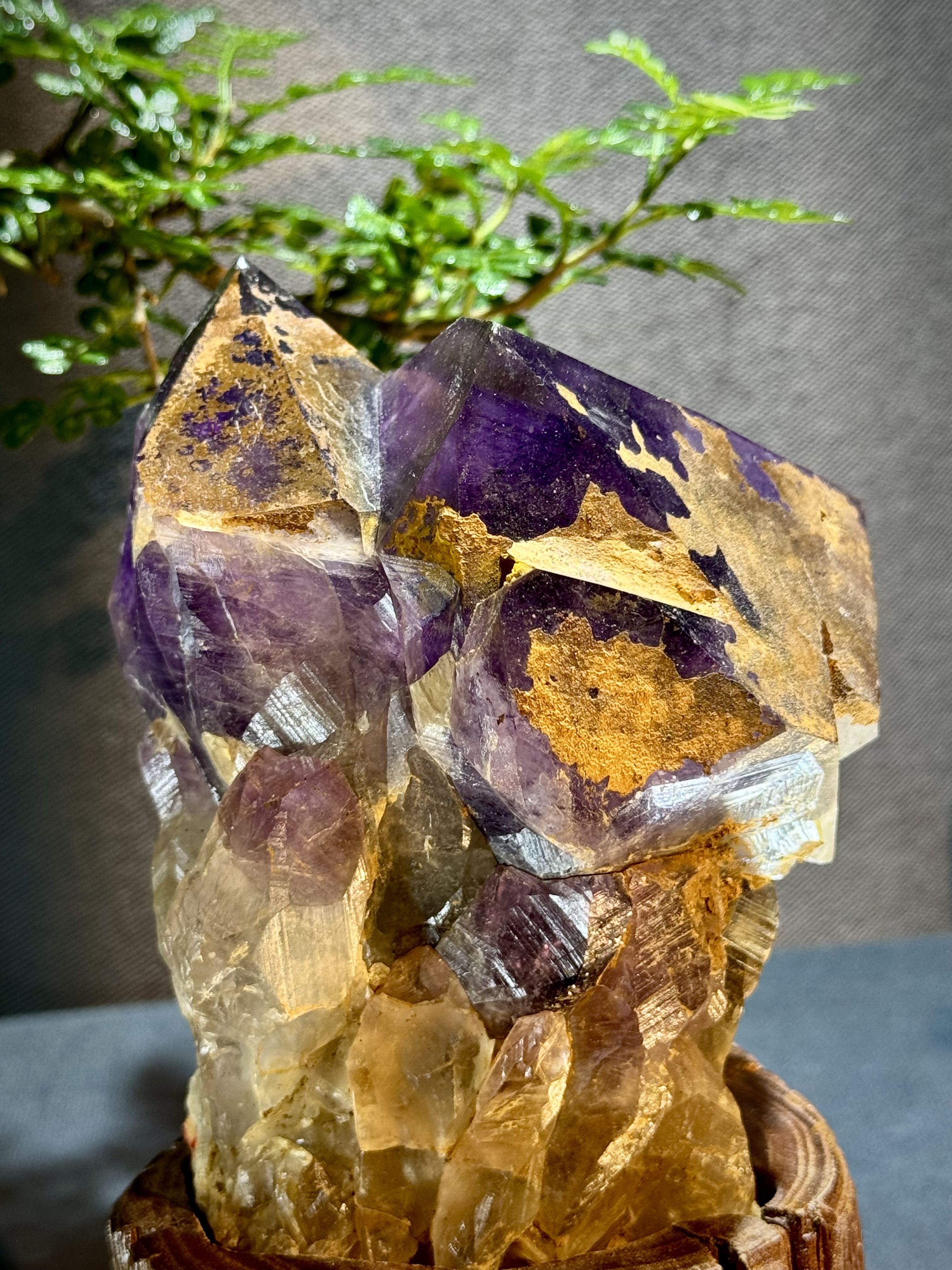 玻利維亞紫水晶骨幹原石 8712