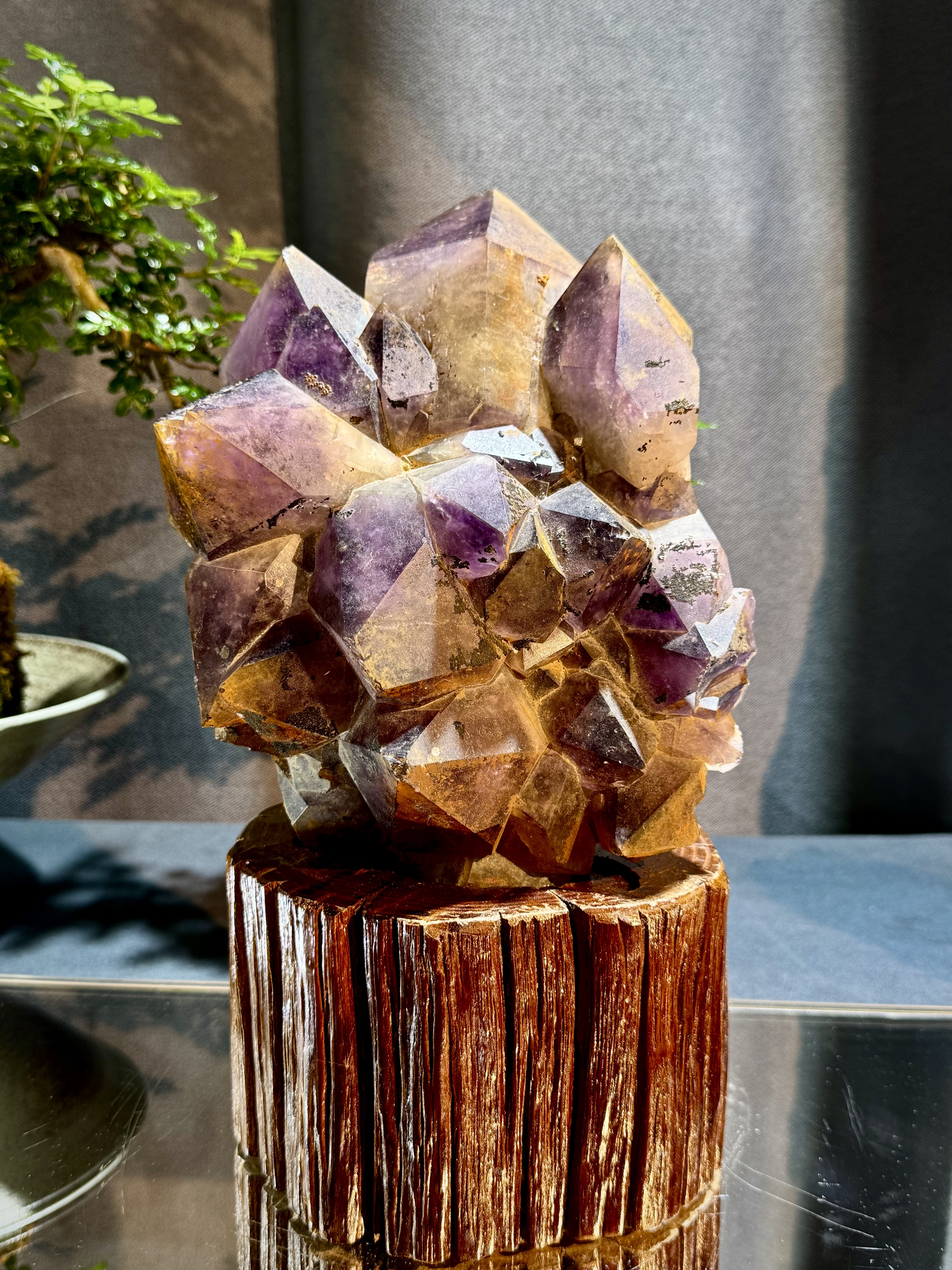 玻利維亞紫水晶骨幹原石 8713