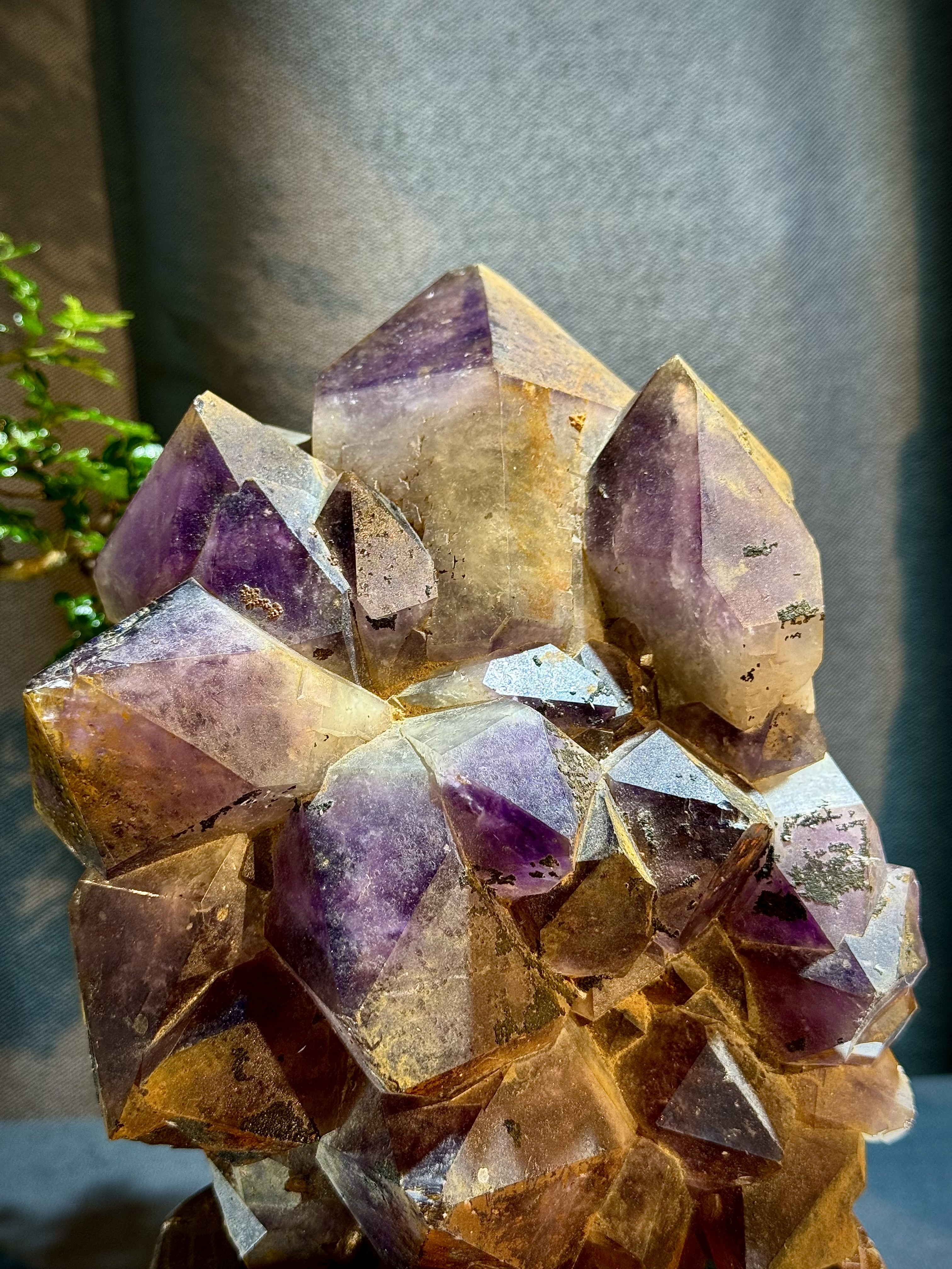 玻利維亞紫水晶骨幹原石 8713