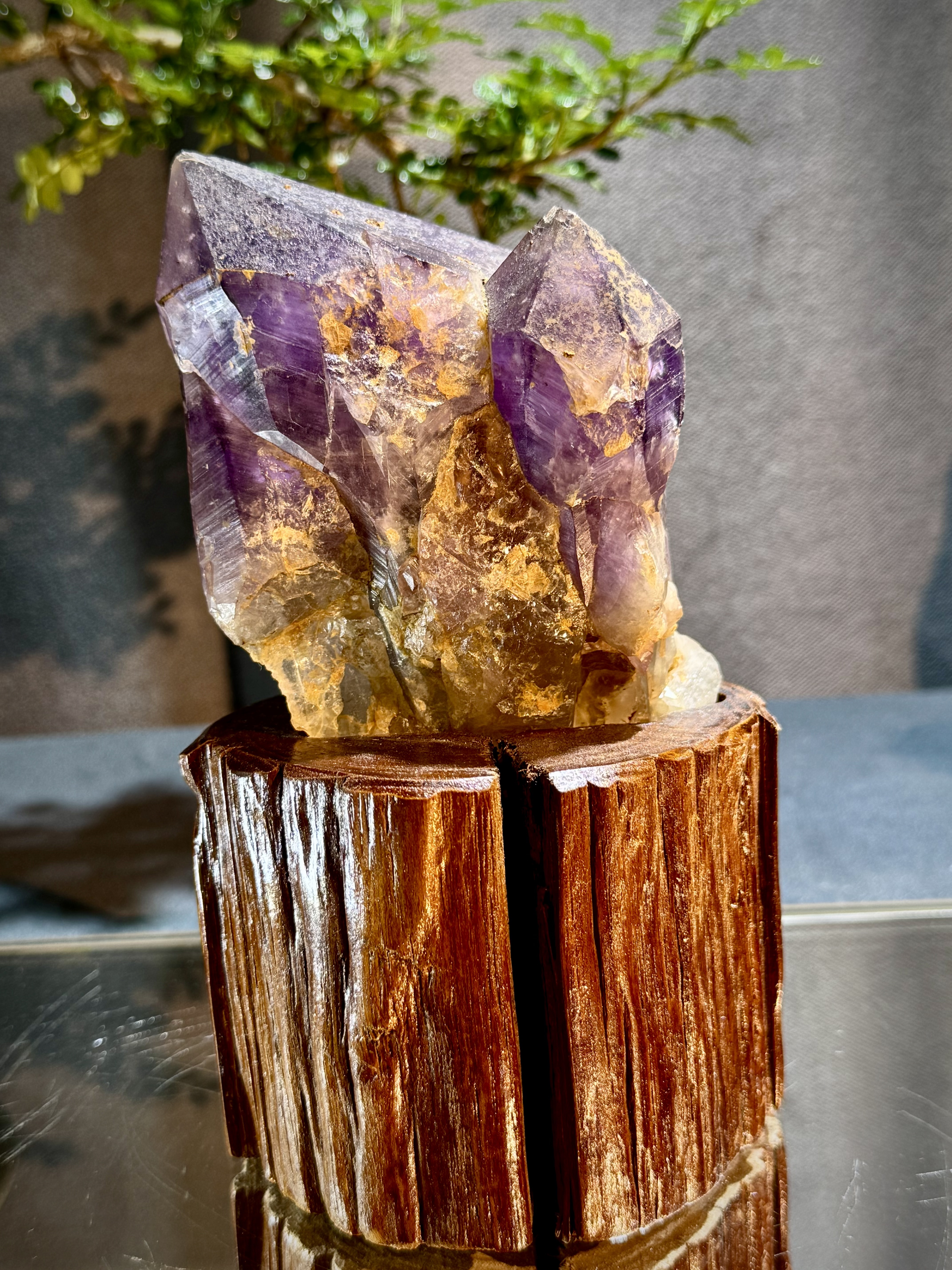 玻利維亞紫水晶骨幹原石 8709