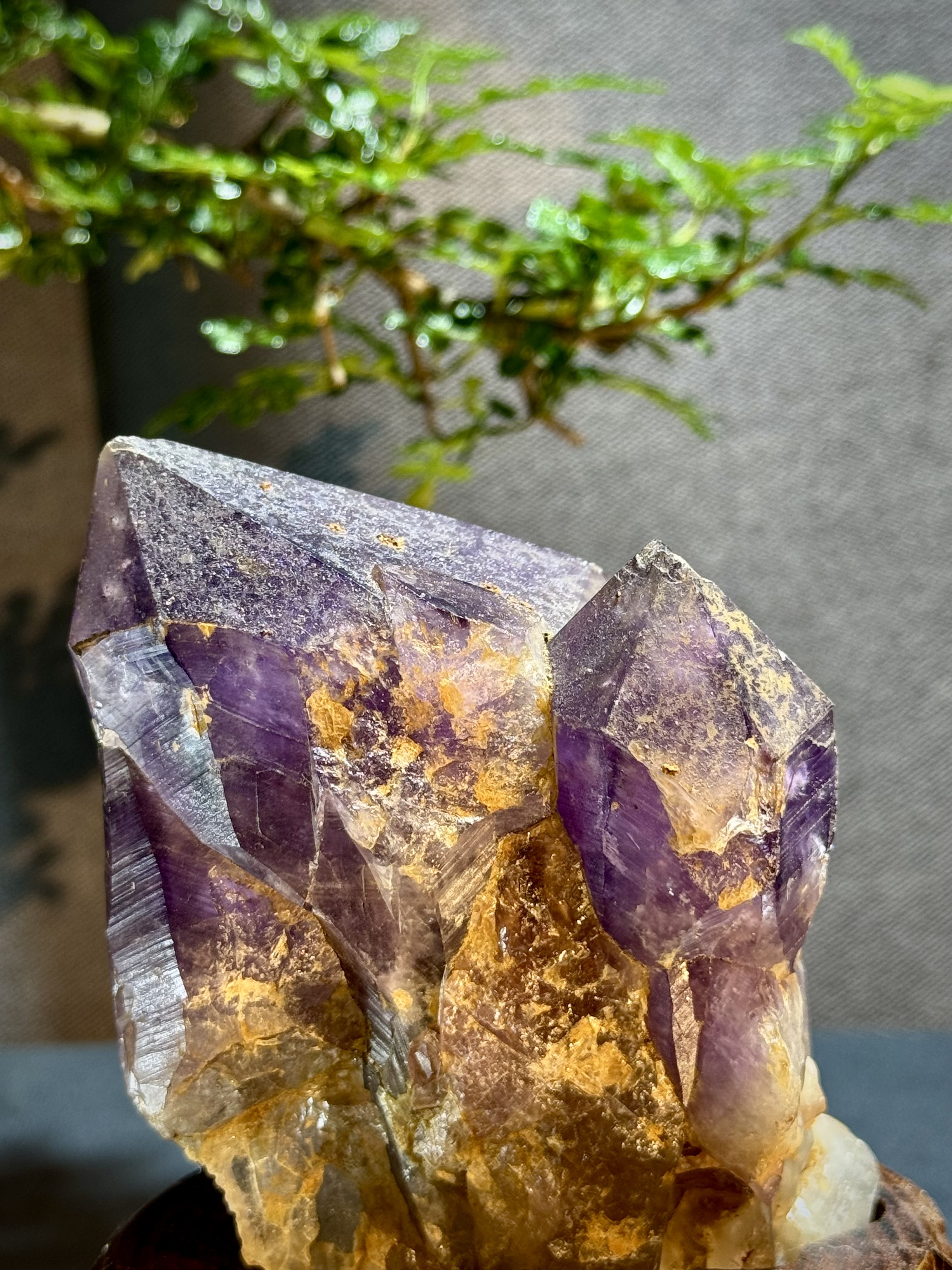 玻利維亞紫水晶骨幹原石 8709