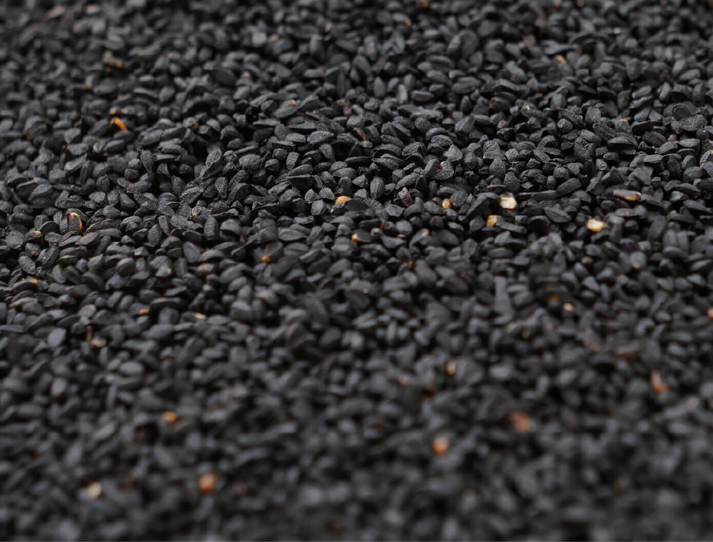 97%高濃度芝麻素