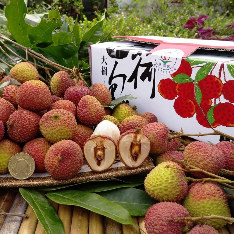 大樹評鑑冠軍 玉荷包-5台斤 (含運)