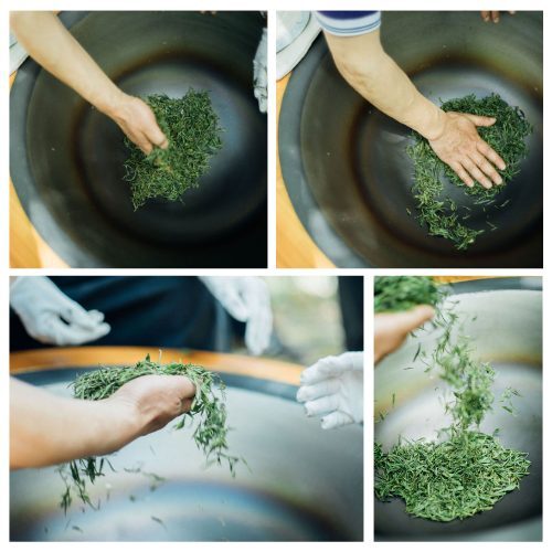 體驗學習：從茶葉採摘到殺菁｜瑜茶舍