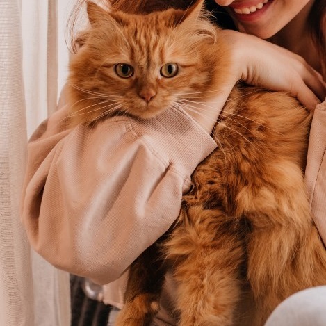 Marpet Equilibria 貓罐頭 單一蛋白系列．鯖魚配方85g