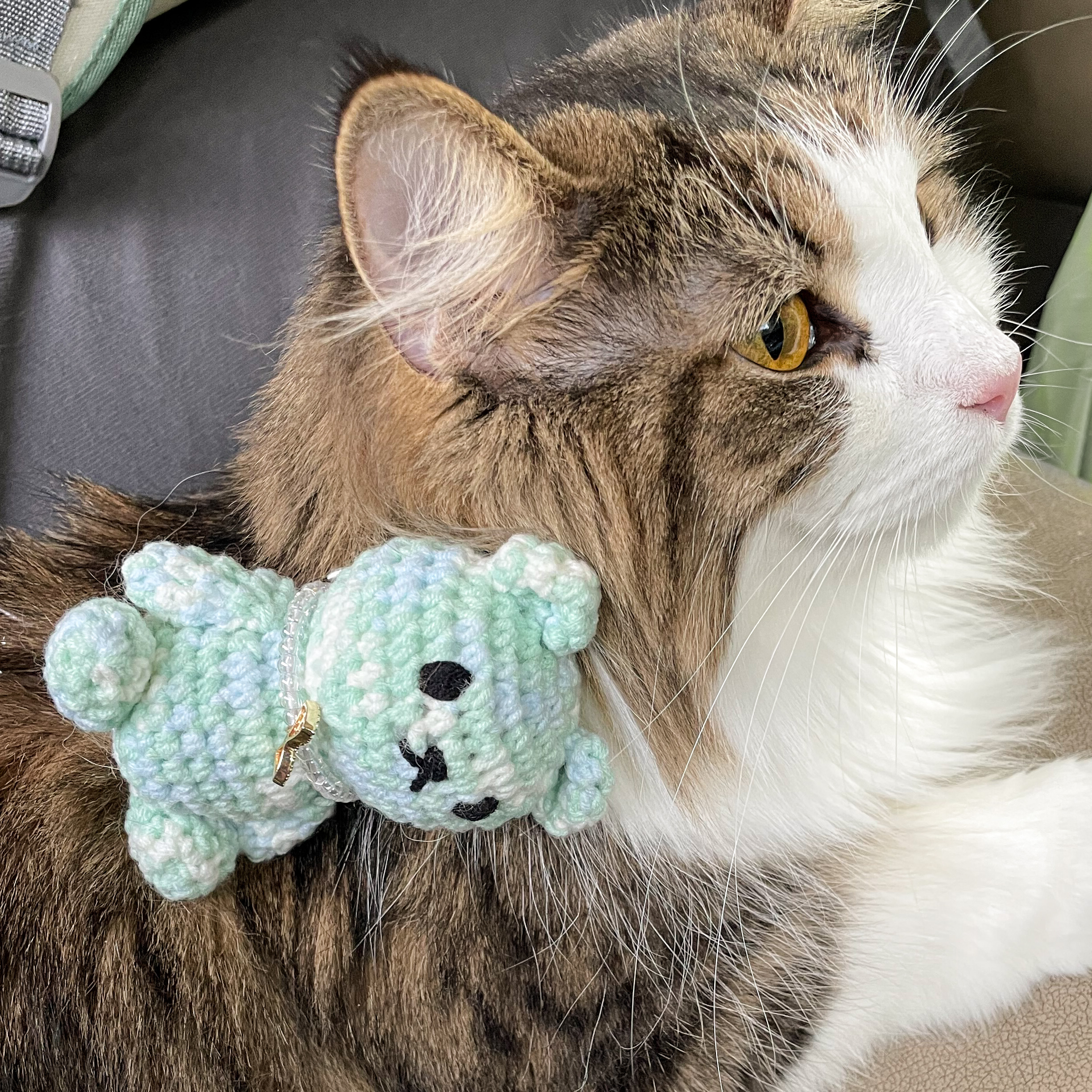 汽水泡泡熊｜貓草玩具・胸背扣掛飾