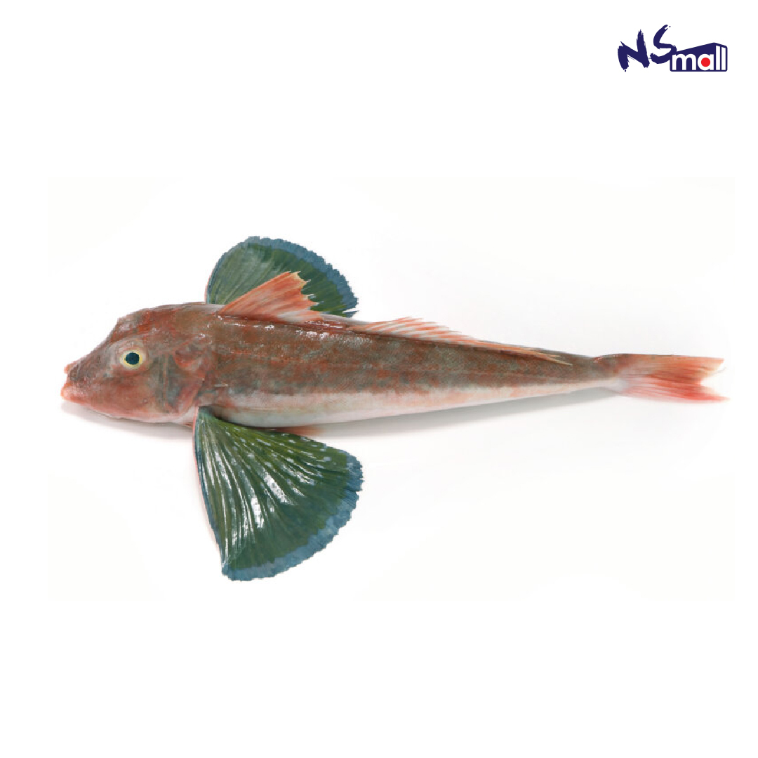魴鮄魚 約400-700g/條