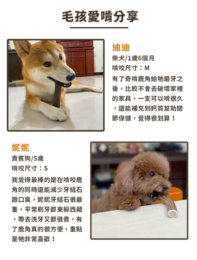 奇啃 CHIKEN 紅鹿角潔牙骨