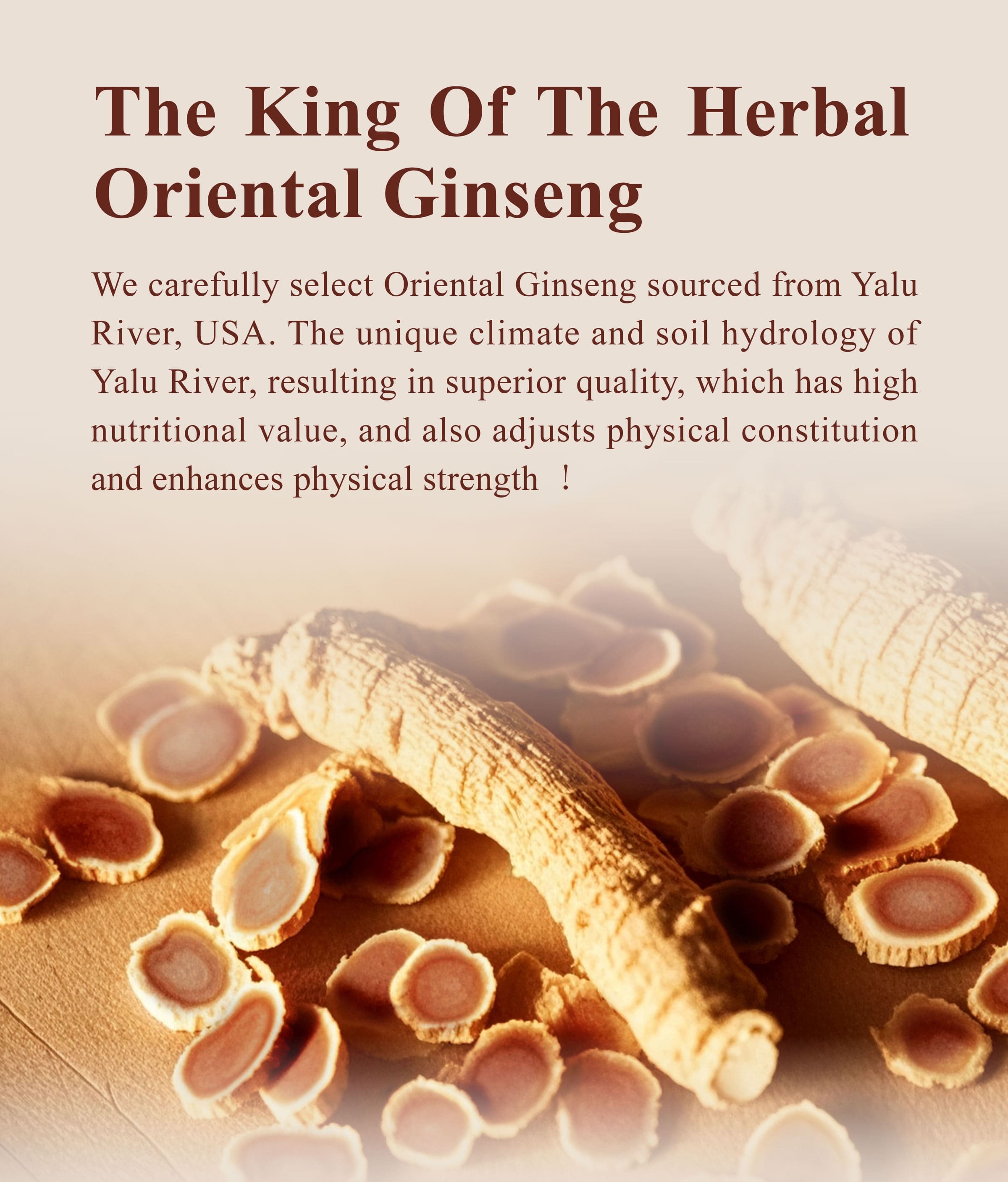 Introduction of Dengyi Oriental Ginseng