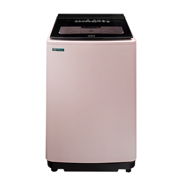 SAMPO 聲寶 16公斤 超震波單槽變頻直立洗衣機(ES-P16DV-P1)