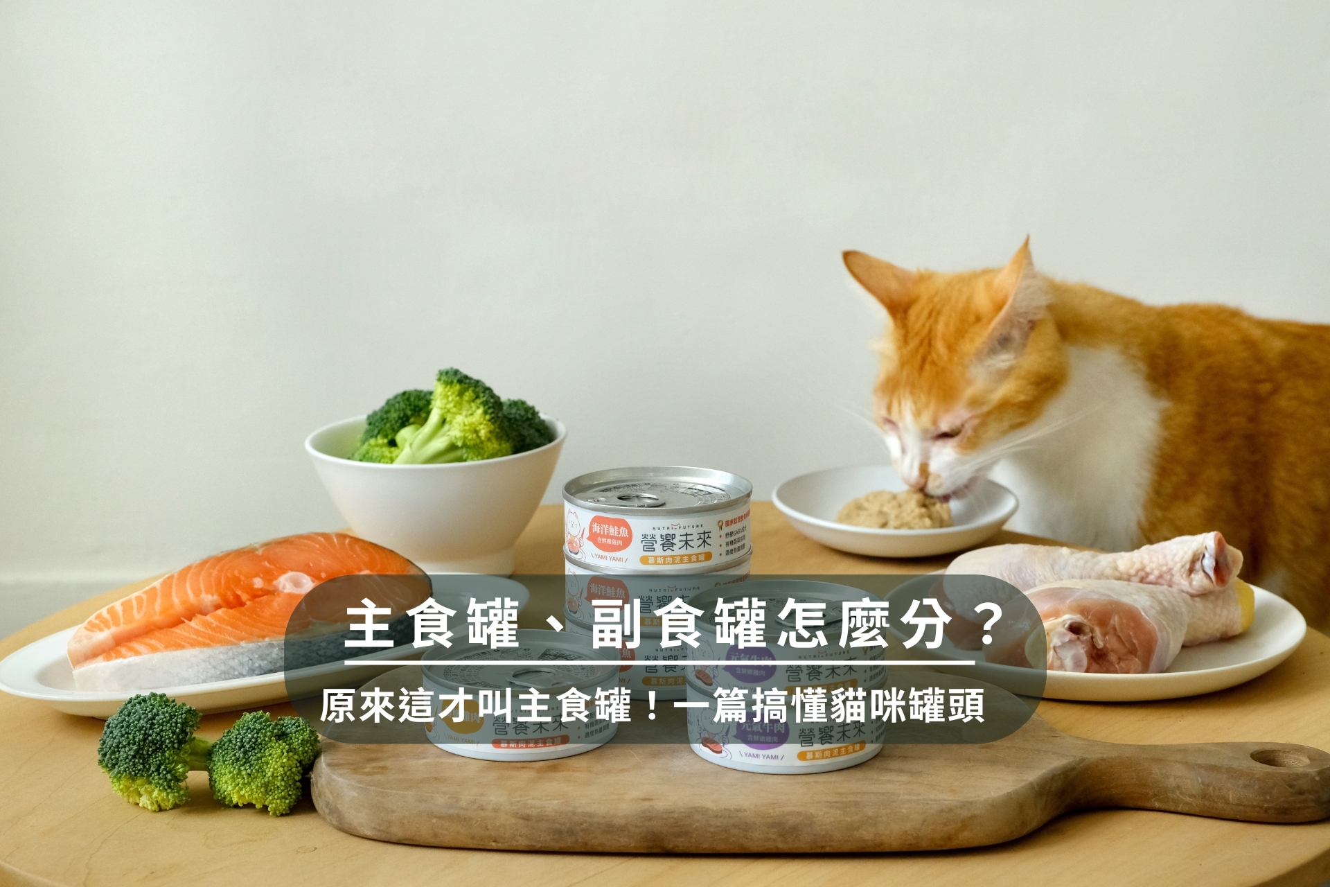 主食罐、副食罐怎麼分