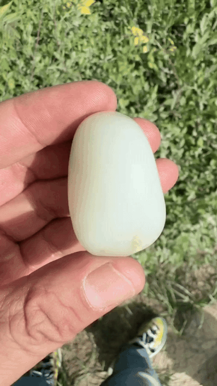 42825 和田玉原籽