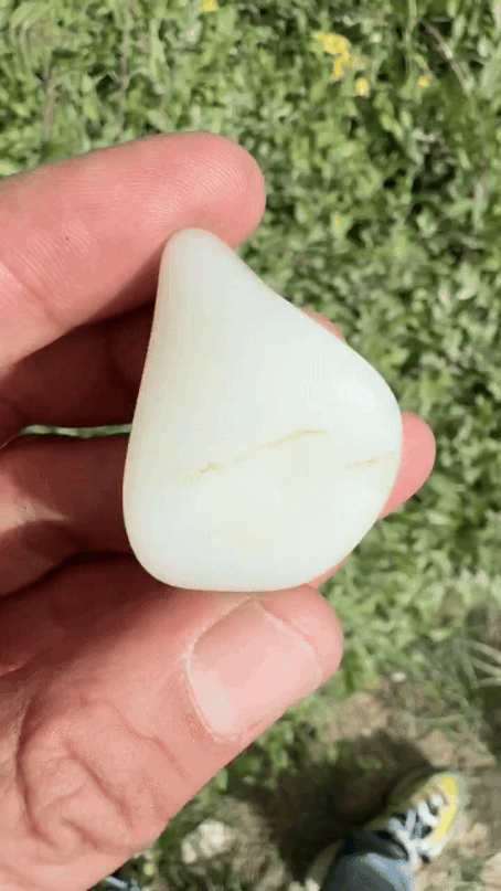 42826 和田玉原籽