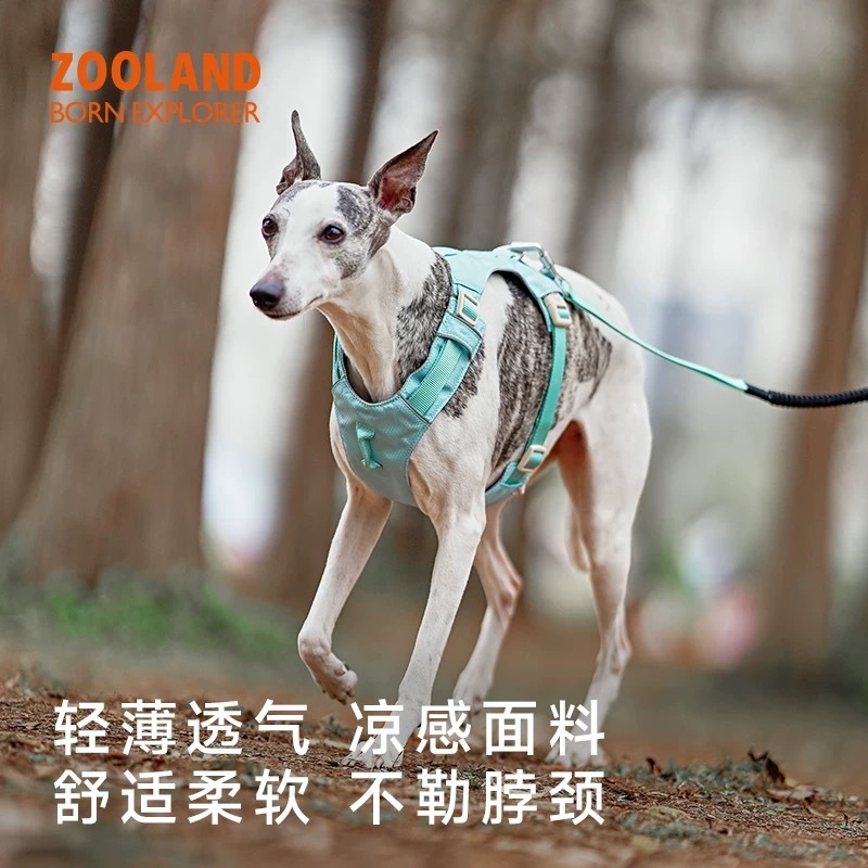 ZOOLAND 宠物轻凉胸背/牵引绳