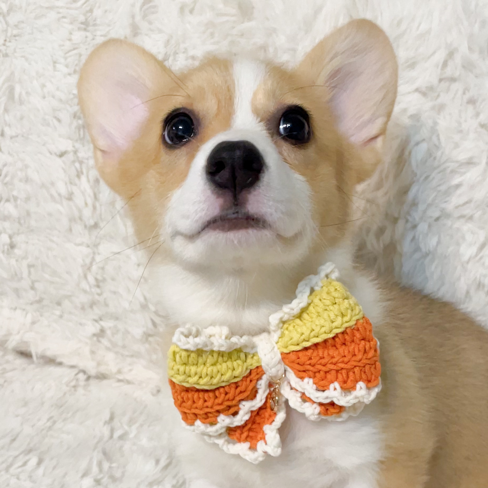 奶油蝴蝶結系列（項鍊款／皮革扣款）