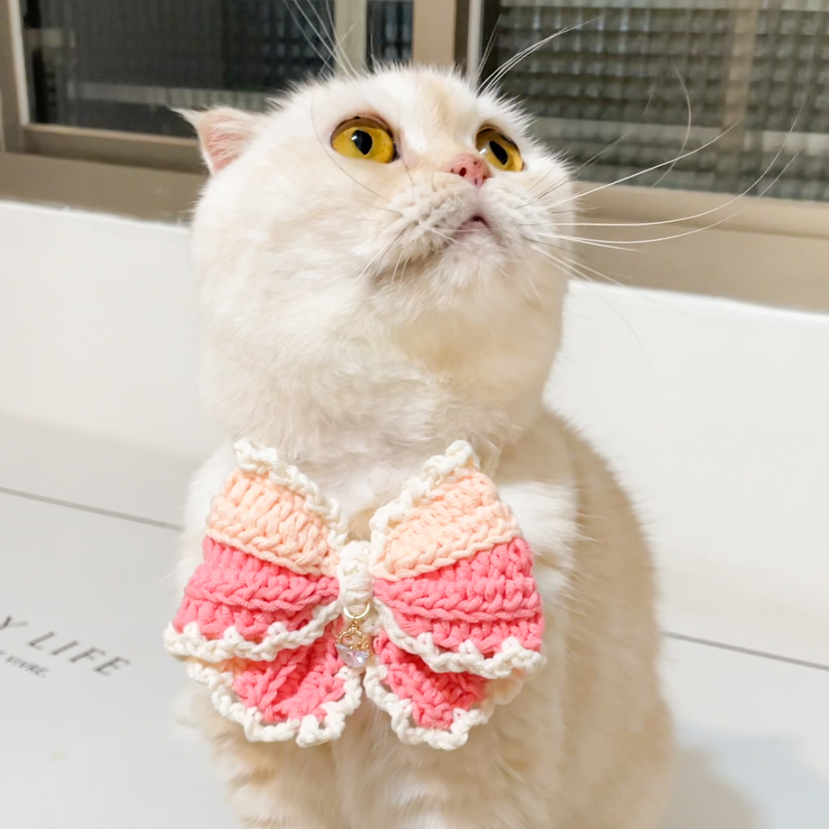 奶油蝴蝶結系列（領巾款／皮革扣款）