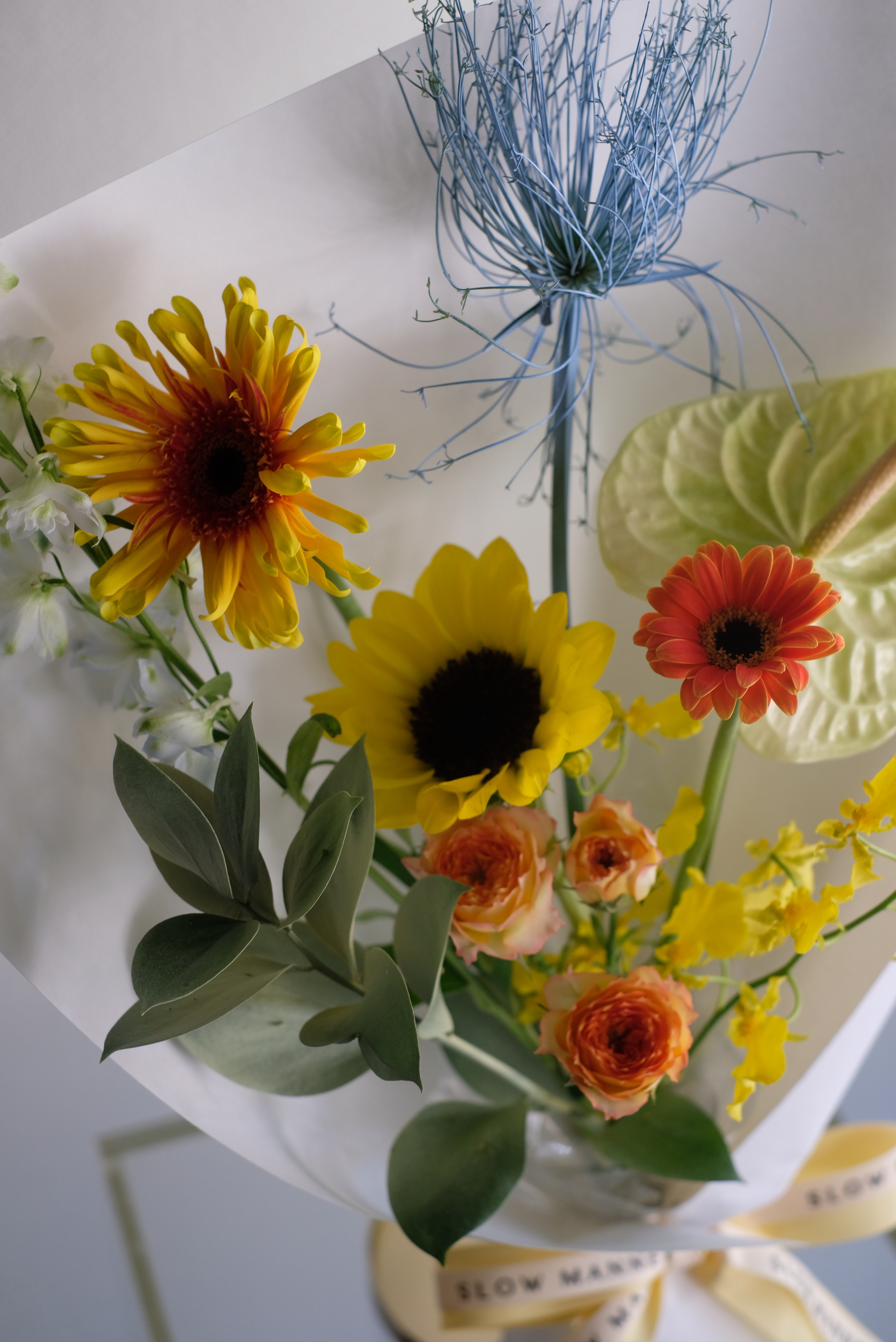 致「五彩斑斕的你」