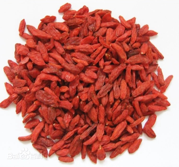 (2904)野生枸杞子300G