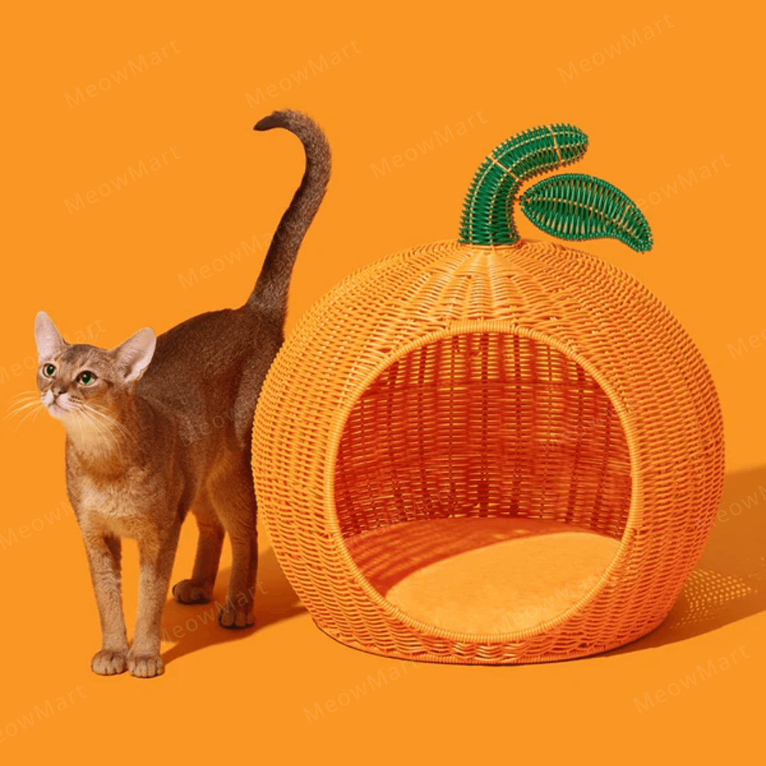 【新品8折】橘子藤編貓窩 (四季適用)