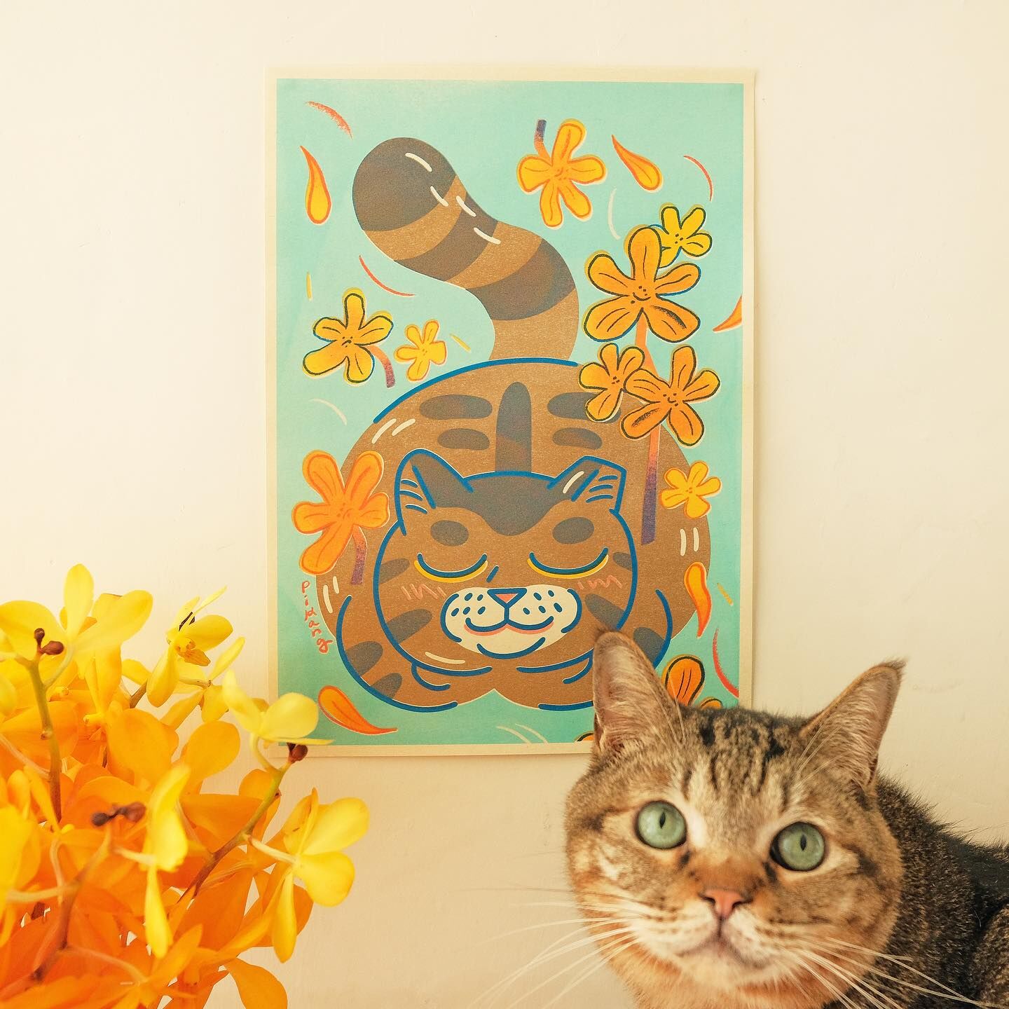 千代蘭 貓嶼花 孔版印刷海報 A4｜皮康