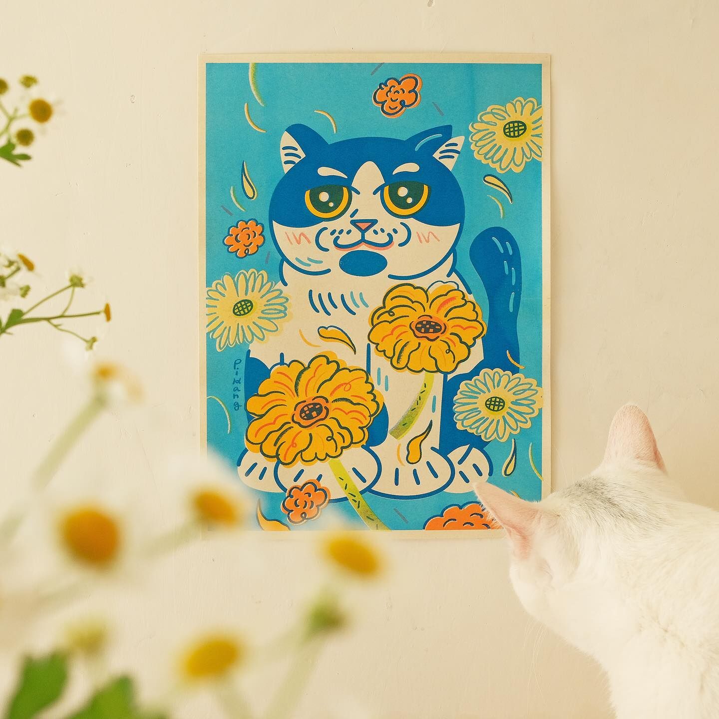 太陽花 貓嶼花 孔版印刷海報 A4｜皮康