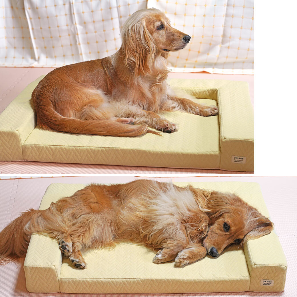 【iDog & iCat】Unage Bed - New Version