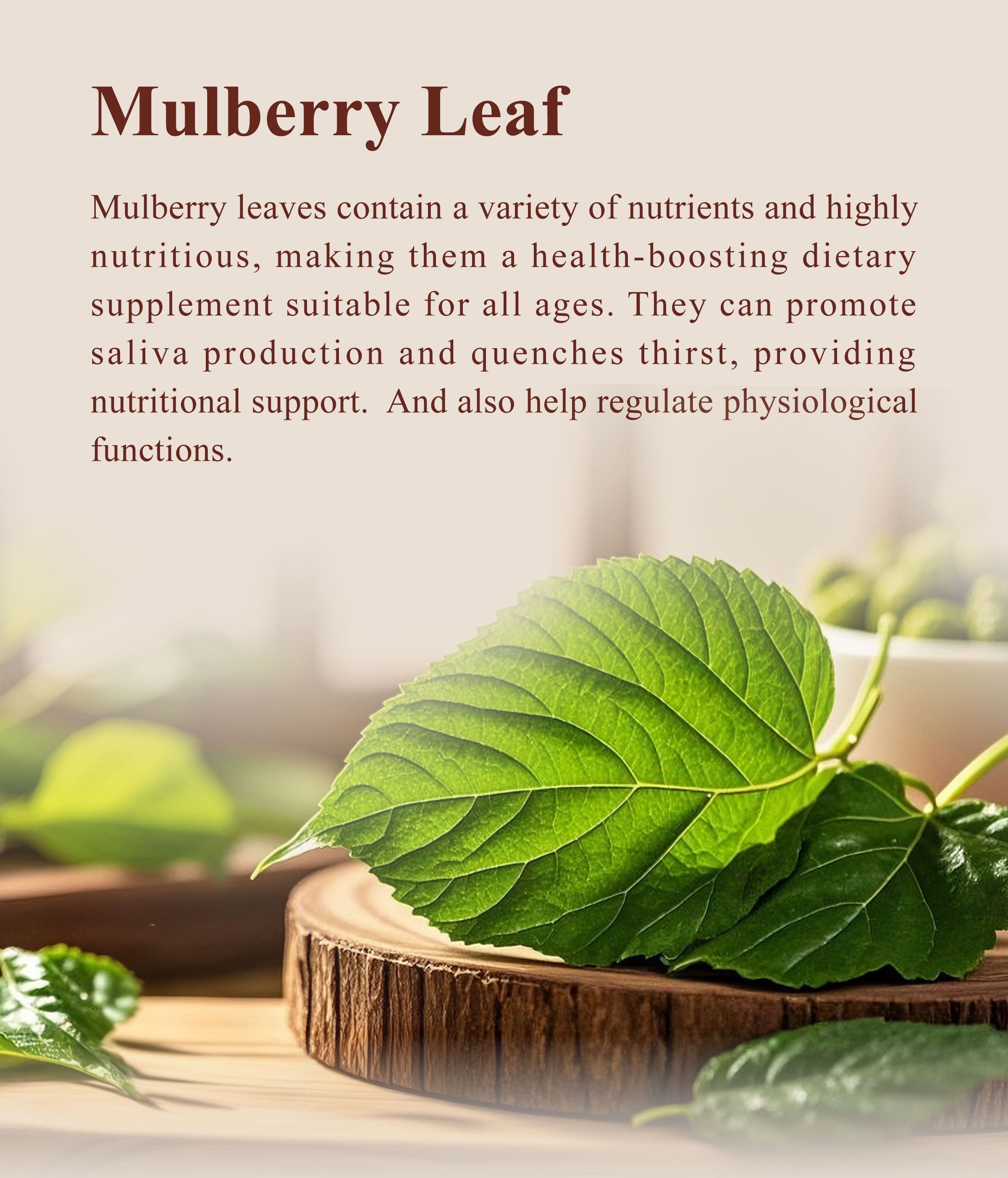Introduction of Dengyi Mulberry Leaf