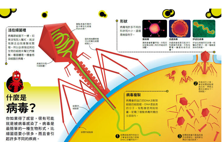 <img src="The Bacteria Book-06.jpg" alt="什麼是病毒?">