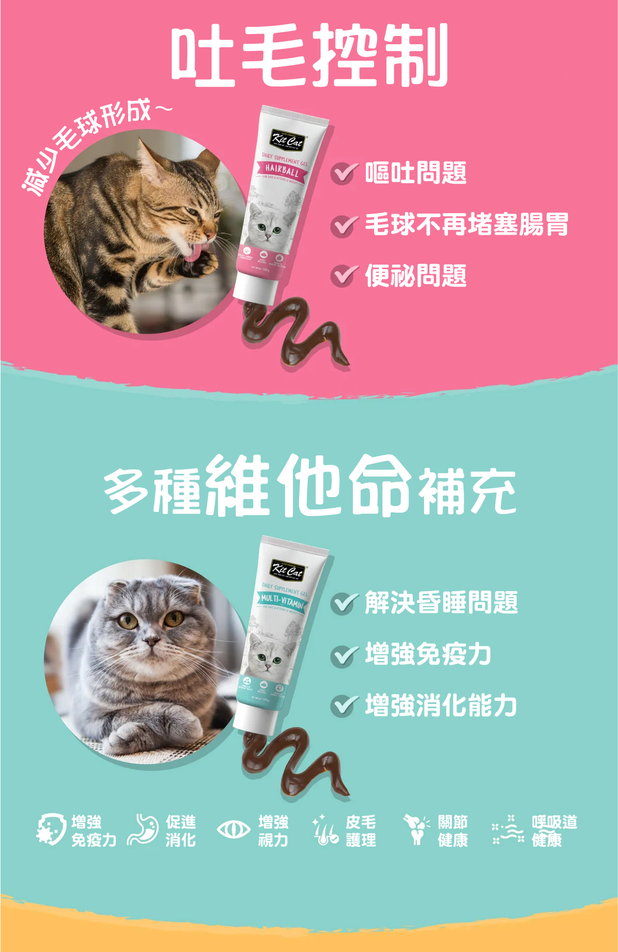 Kit Cat 貓貓保健凝膏120g