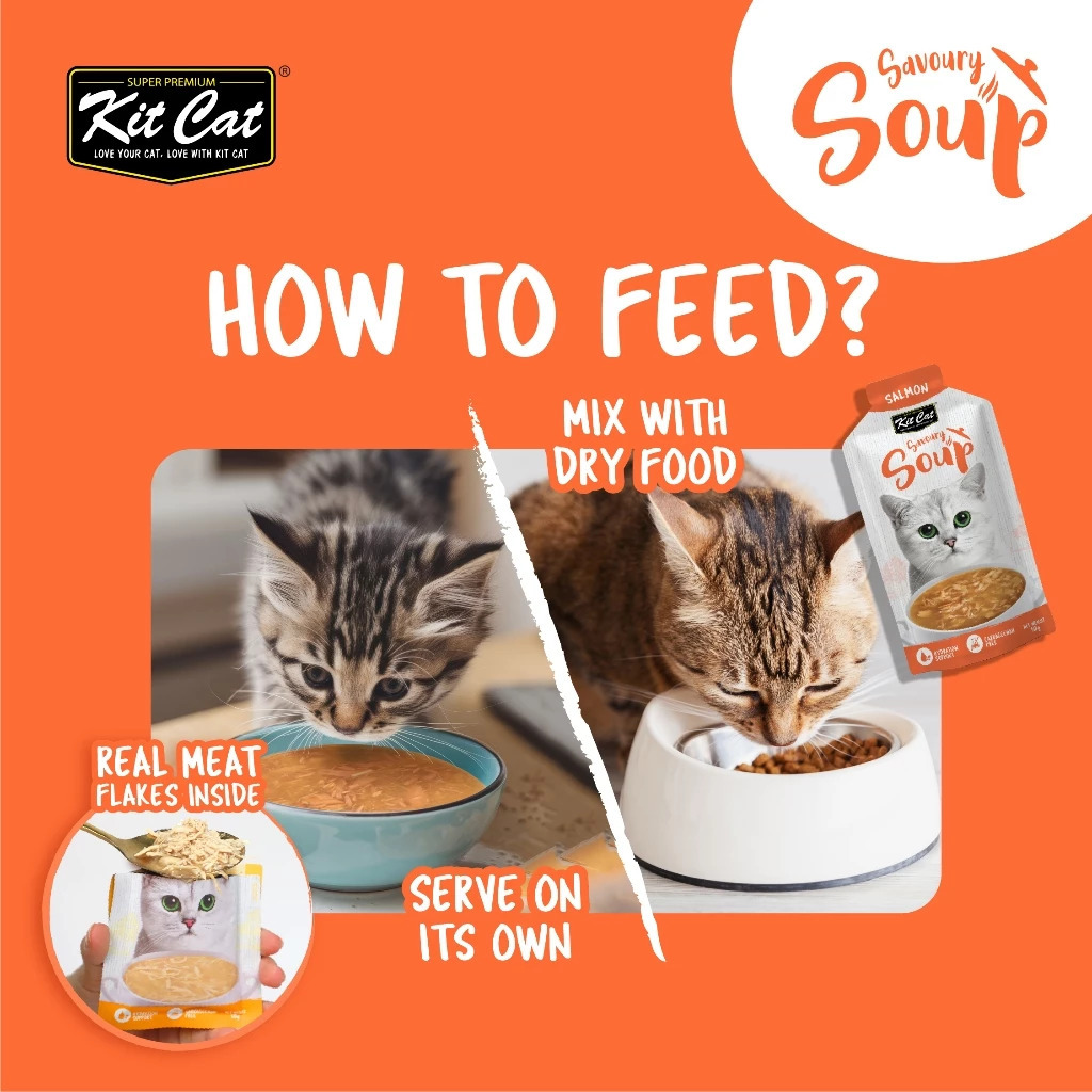 Kit Cat 鮮雞肉濃湯 (貓用) 50g