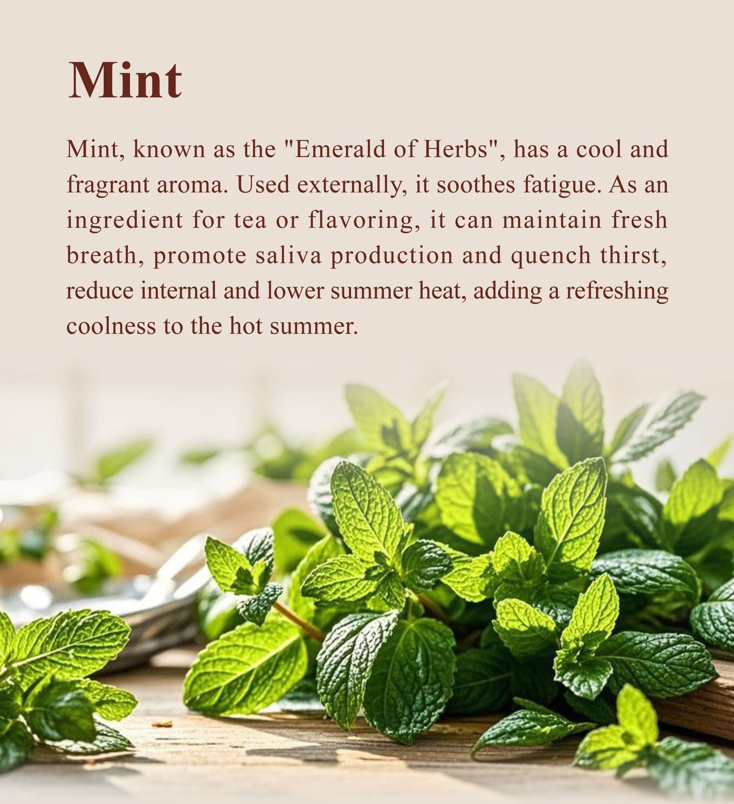 Introduction of Dengyi Mint