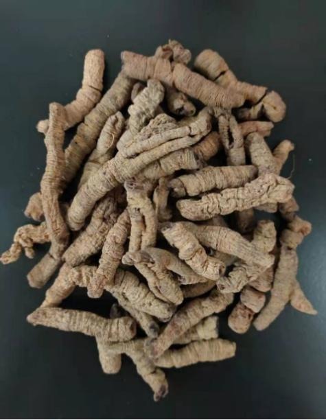 (2912)野生特級巴戟 600G