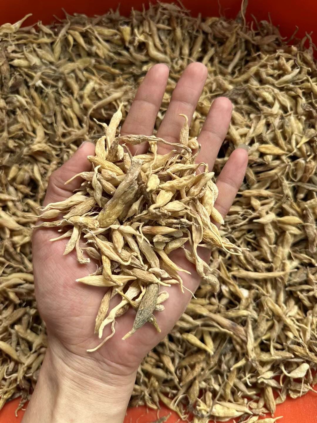 (2900)野生麥冬300G